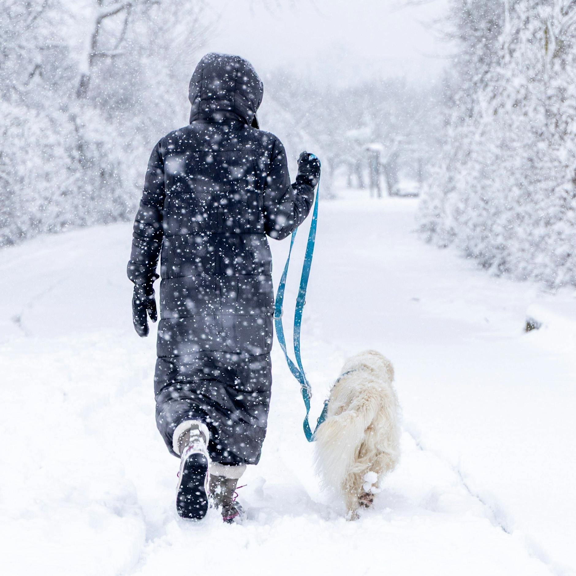 30 Zentimeter Schnee und Kälte – kommt der Winter im März zurück?