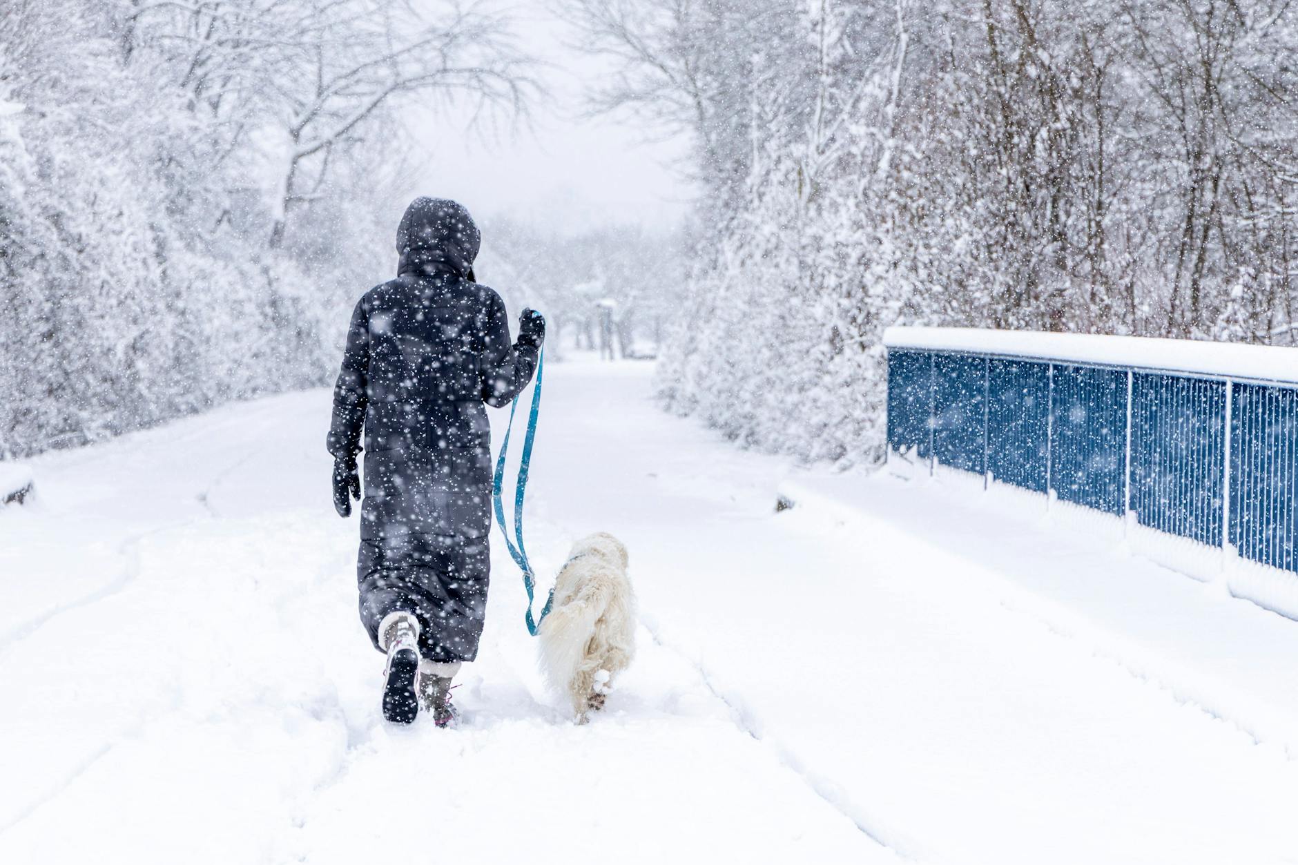 30 Zentimeter Schnee und Kälte – kommt der Winter im März zurück?