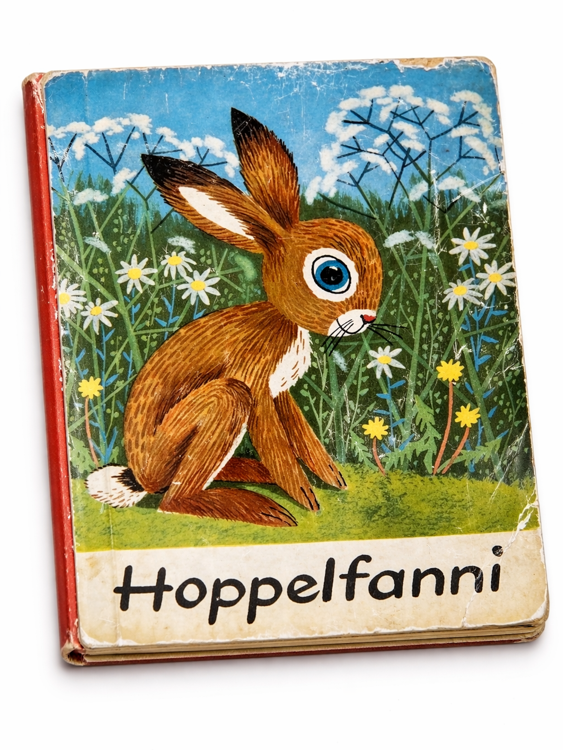 Das Buch „Hoppelfanni“ erzählt die Geschichte eines Häschens, das im Wald Abenteuer erlebt. Auf Ebay werden dafür hohe Preise verlangt.