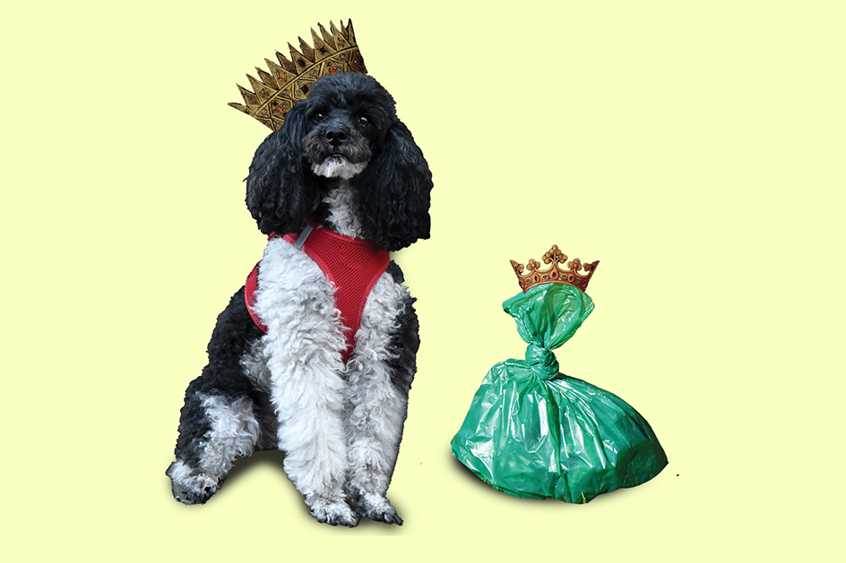 „Der macht doch nix“: Wie Berlin im Hundehaufen-Slalom lebt