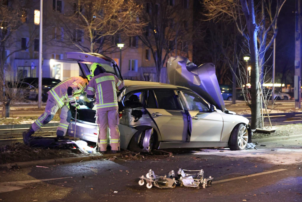 Die Berliner Feuerwehr musste für die Bergung den Tramverkehr stoppen.