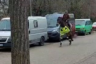 Martina Scherrer reitet durch eine Zone, in der Tempo 10 gilt. Die Reitlehrerin aus Freiburg hat mit ihrem Pferd für ein ungewöhnliches Blitzerfoto gesorgt.