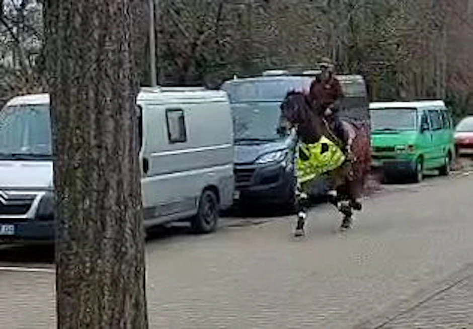 Martina Scherrer reitet durch eine Zone, in der Tempo 10 gilt. Die Reitlehrerin aus Freiburg hat mit ihrem Pferd für ein ungewöhnliches Blitzerfoto gesorgt.