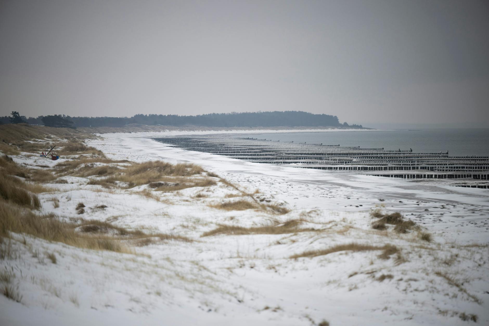 Die Suche nach einer vermissten Frau wurde abgebrochen - die gesuchte hat sich bei der Polizei gemeldet.