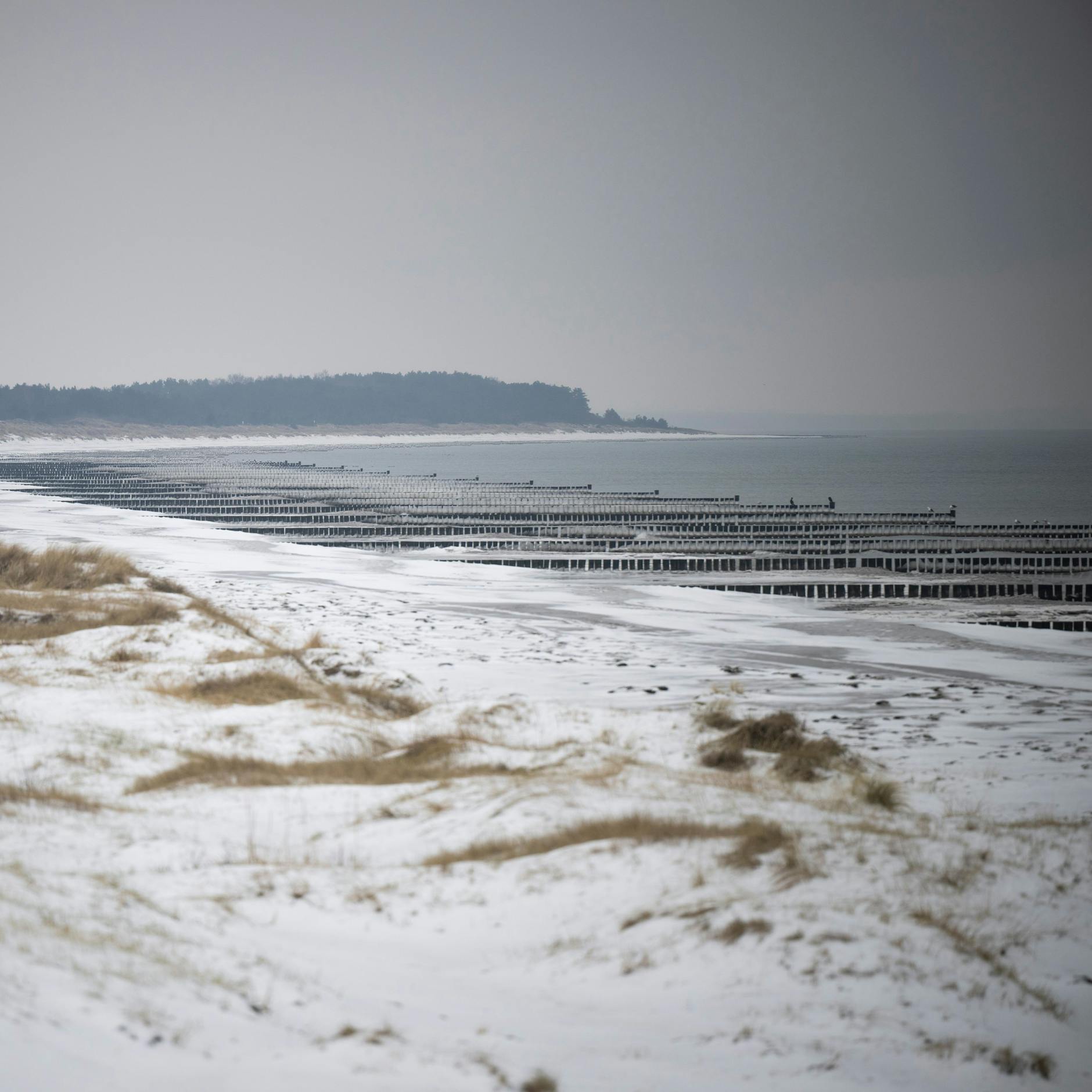 Image - Große Suchaktion auf Hiddensee beendet: Aber woher kam die Kleidung am Strand?