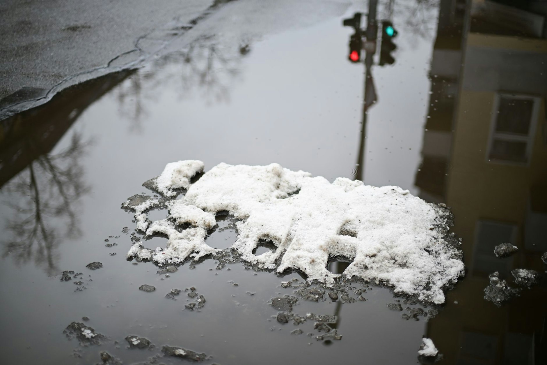 Der Winter verabschiedet sich - in den kommenden Tagen soll auch der letzte Schnee aus Berlin verschwinden. Und dann kommt der Frühling mit voller Wucht.