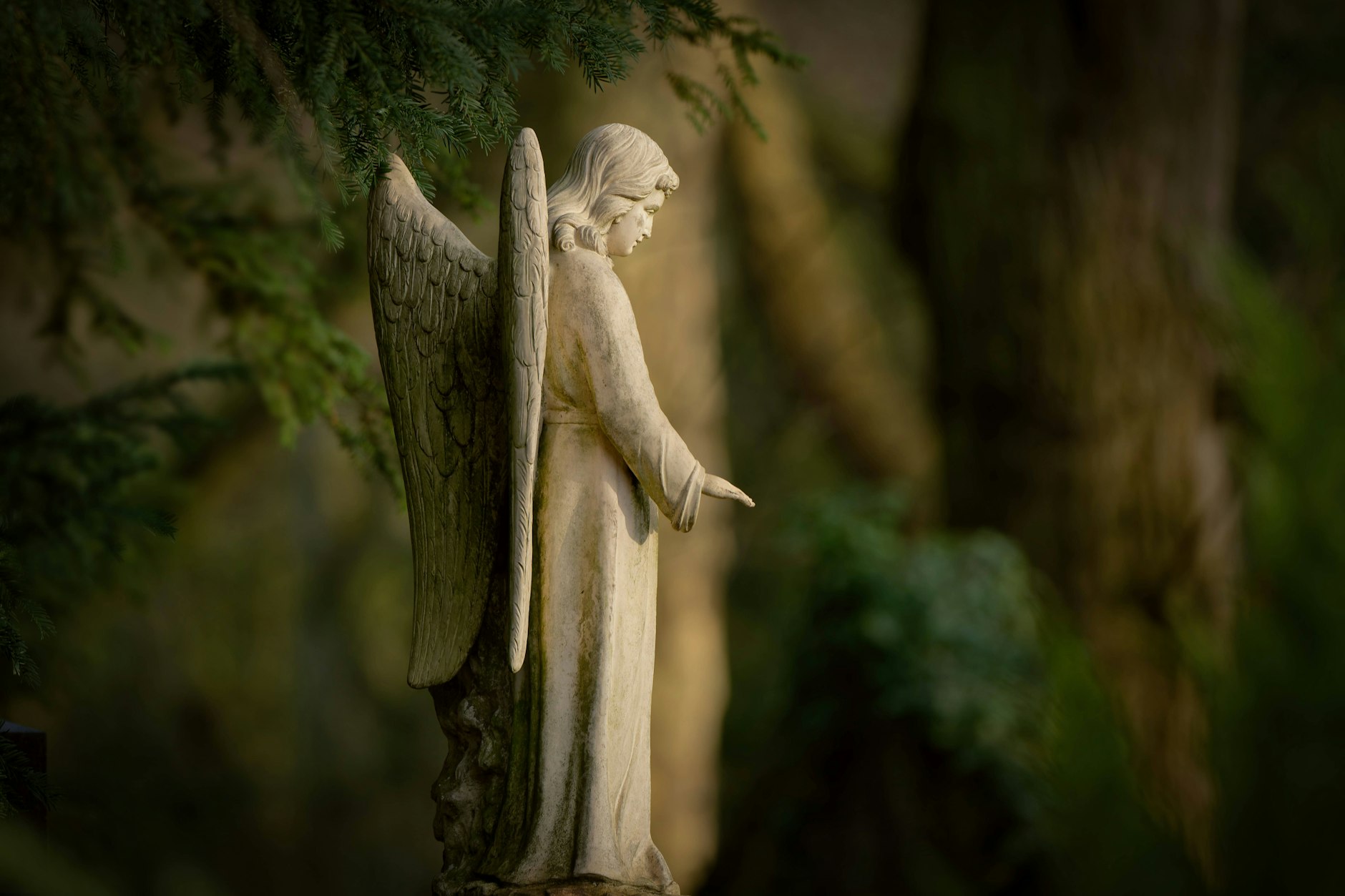 Abschied nehmen: bei einem Suizid für Angehörige besonders schwer