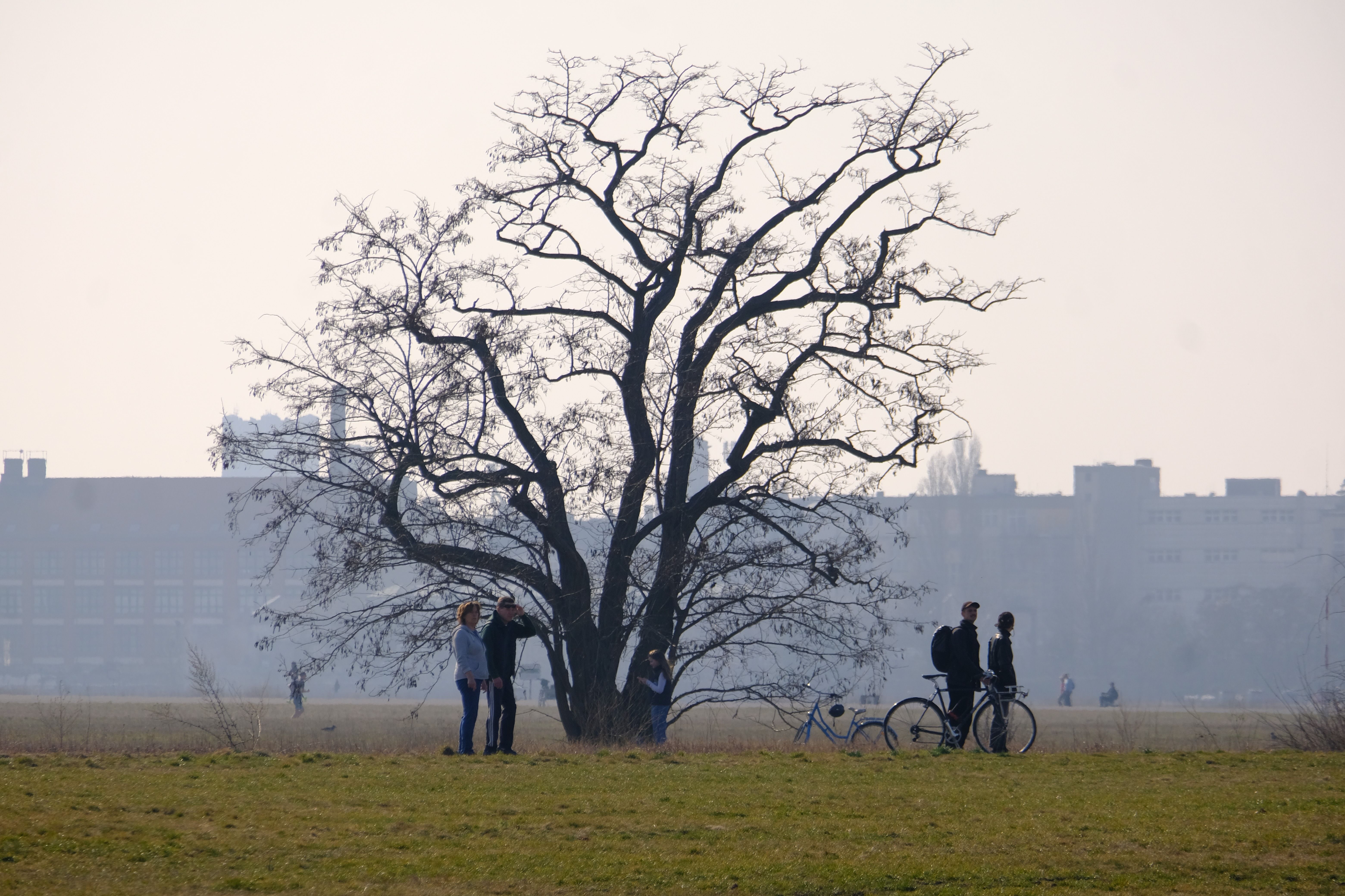 Wetterumschwung in Berlin: Jetzt kommt der Frühling – das passiert mit Körper und Psyche