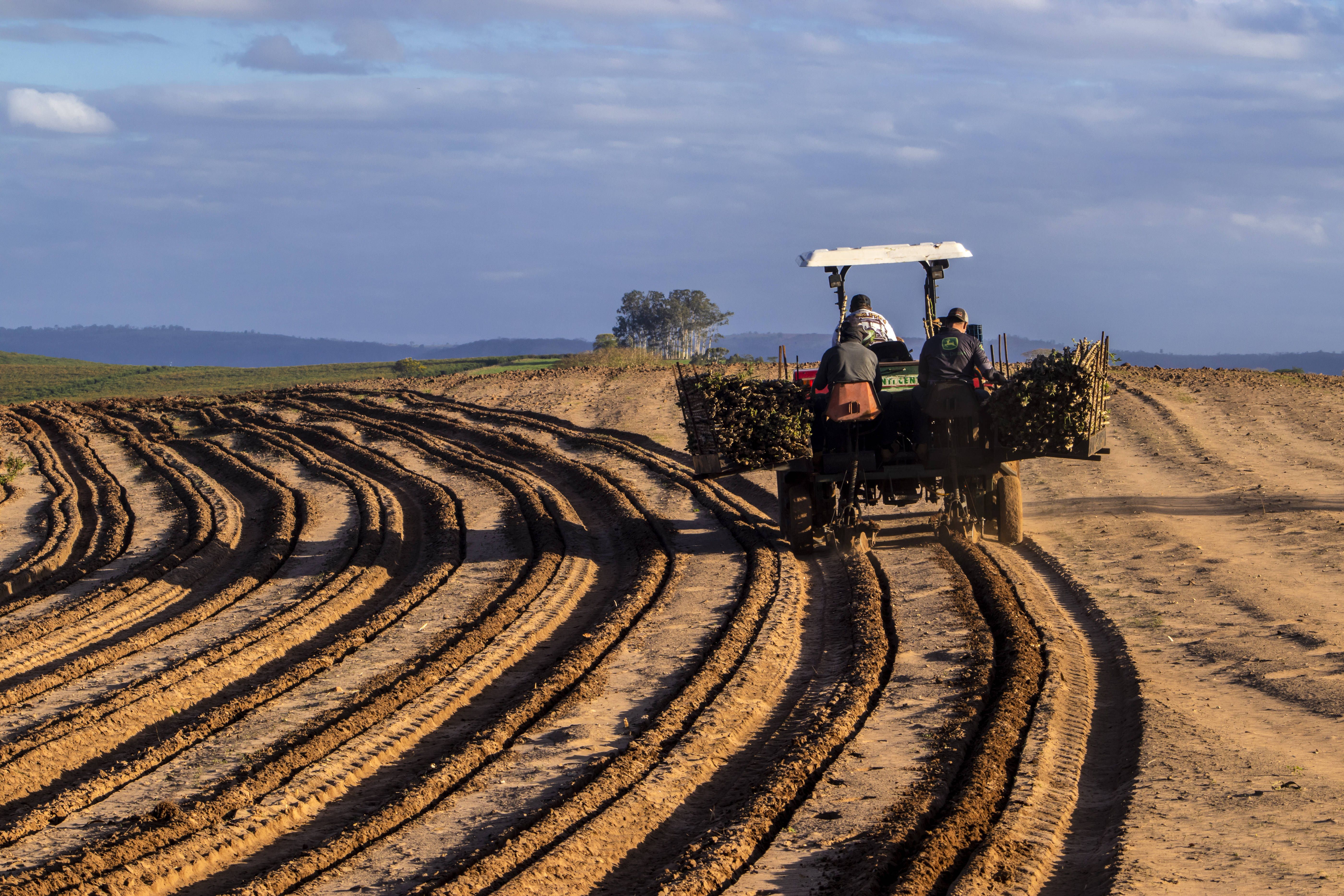 Brasiliens Landwirte kontern in Berlin: „Wir konkurrieren nicht mit deutschen Bauern“