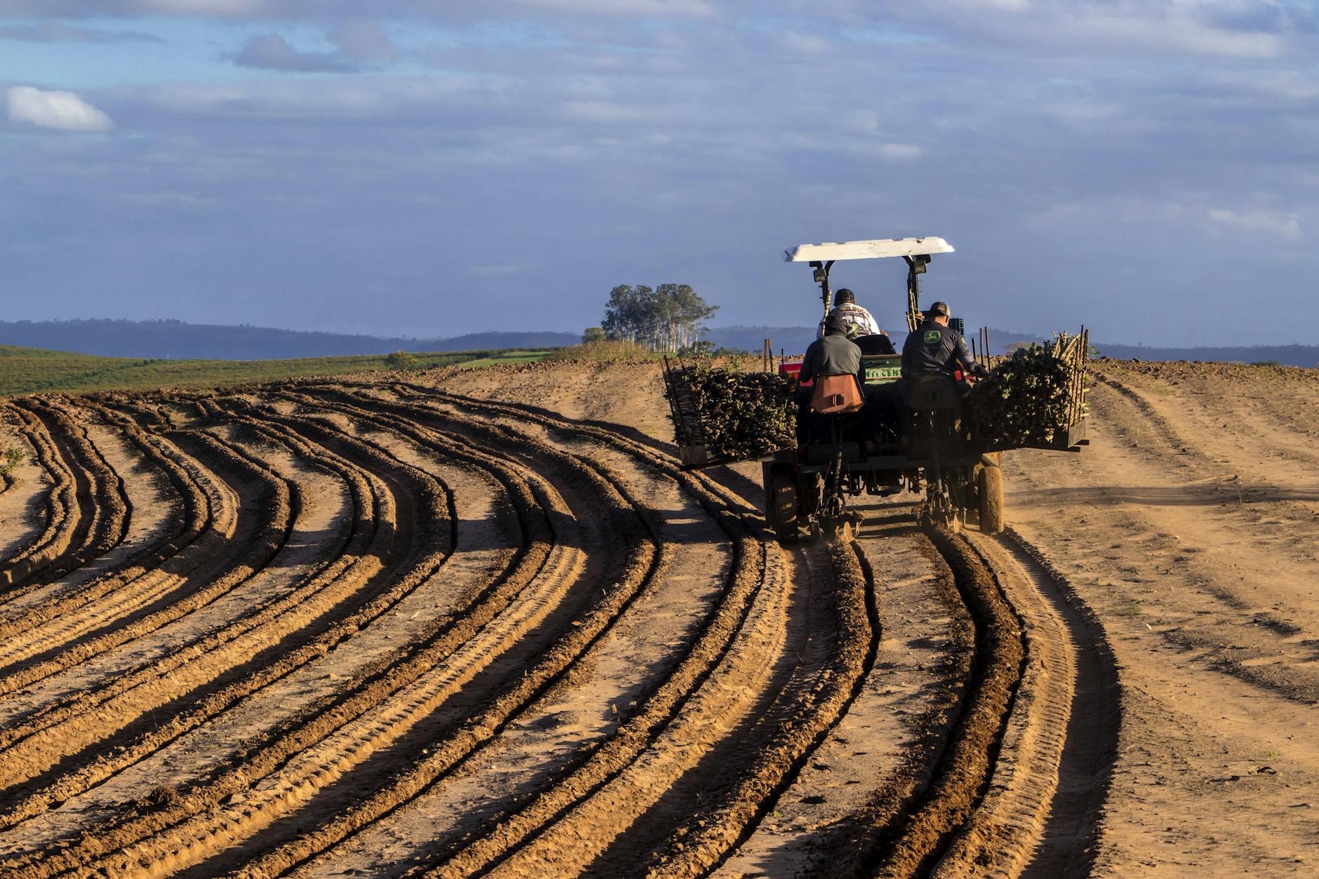 Kleinbetriebe in Brasilien arbeiten unter klimatischen Unsicherheiten – fernab des Bildes von industrieller Großproduktion.