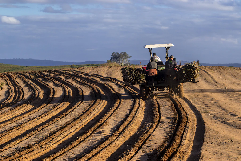 Brasiliens Landwirte kontern in Berlin: „Wir konkurrieren nicht mit deutschen Bauern“