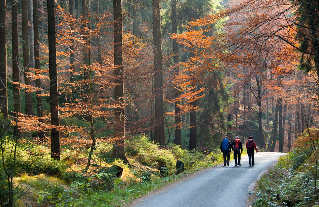 Nach Einbruch im Tourismus: Sachsen blickt positiv auf 2026
