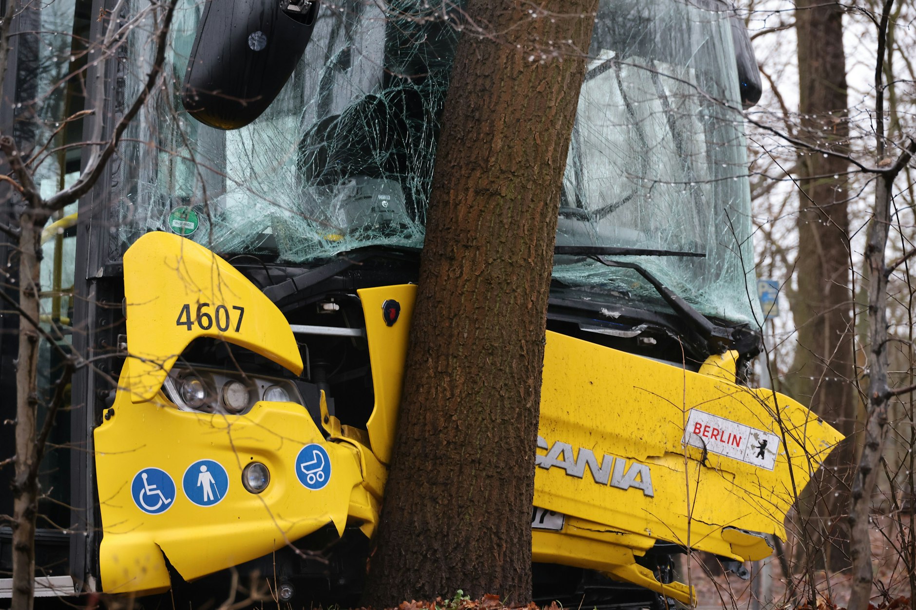Ein BVG-Bus prallte am Sonntagmittag gegen einen Baum.