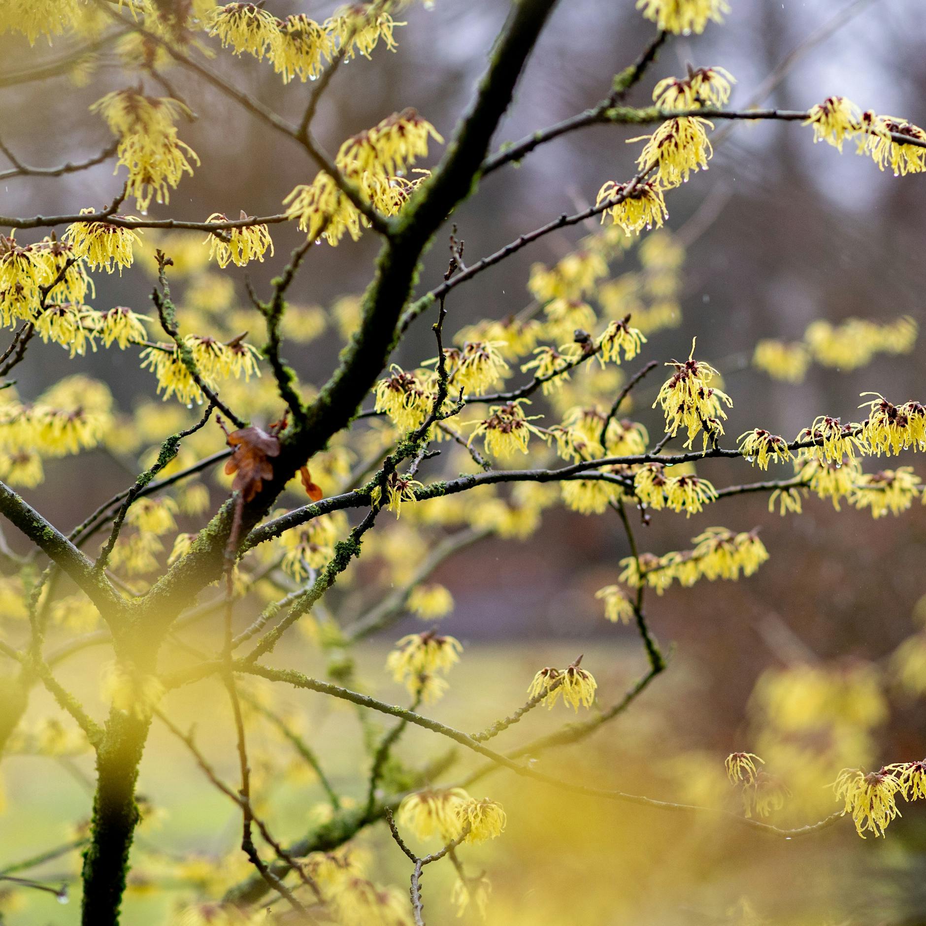 Diese Bauernregel macht uns Hoffnung auf schönes, warmes Wetter
