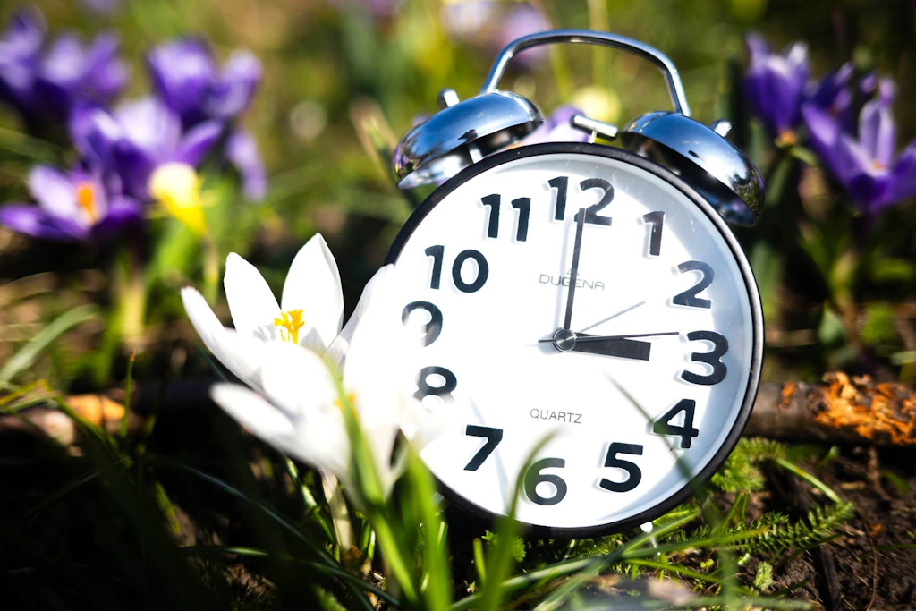 Die EU zieht in diesem Jahr die Sommerzeit vor