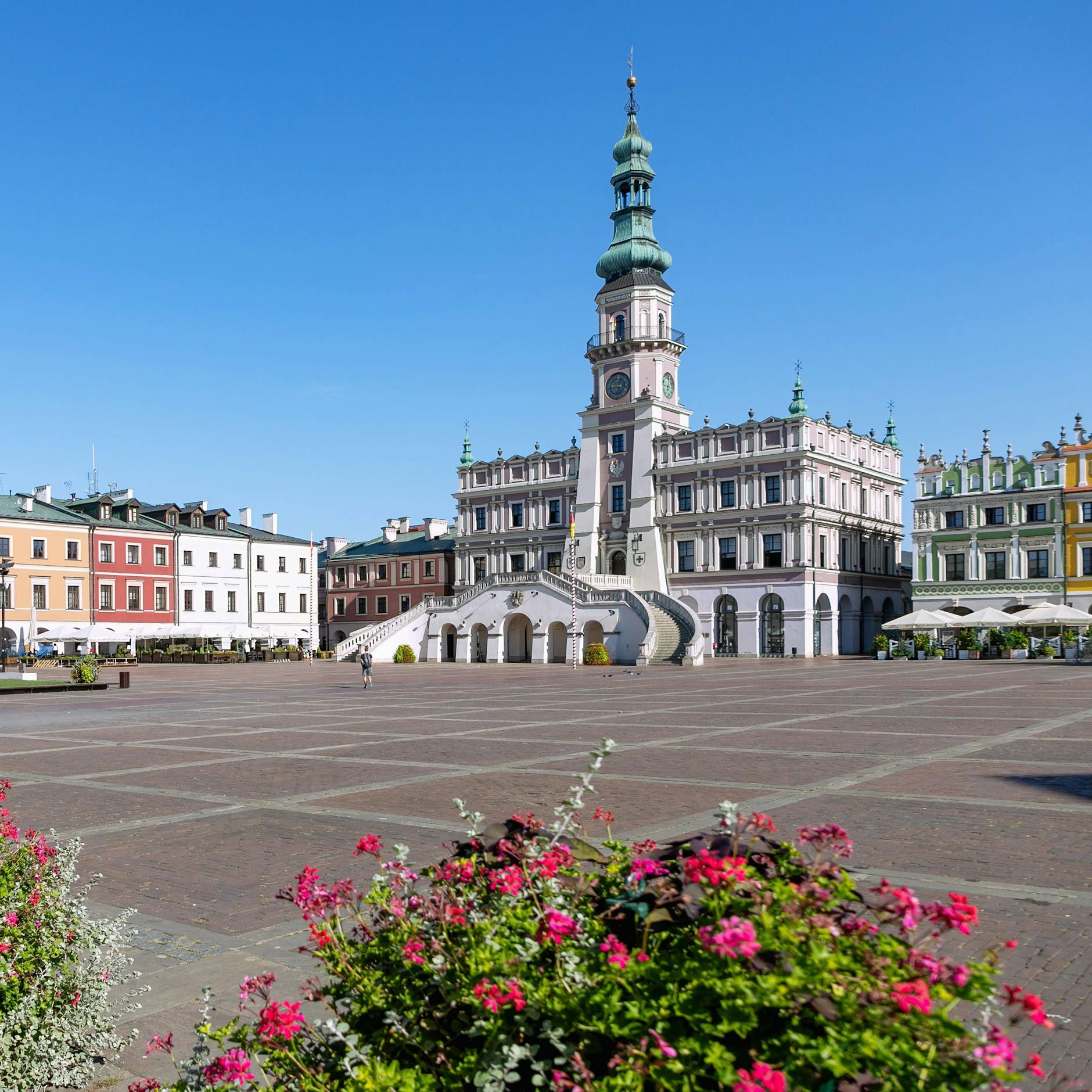 Image - Rosa Luxemburg: Gedenktafel sorgt in ihrer polnischen Geburtsstadt Zamosc für Streit