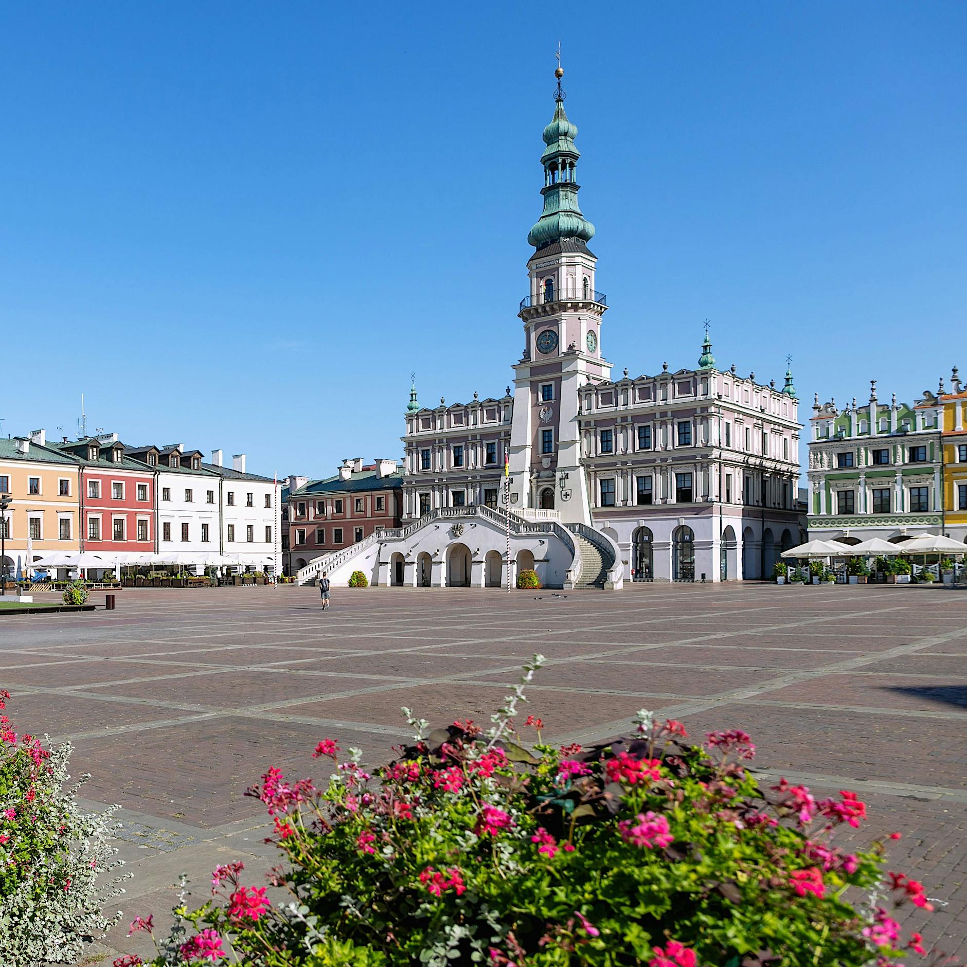 Rosa Luxemburg: Gedenktafel sorgt in ihrer polnischen Geburtsstadt Zamosc für Streit