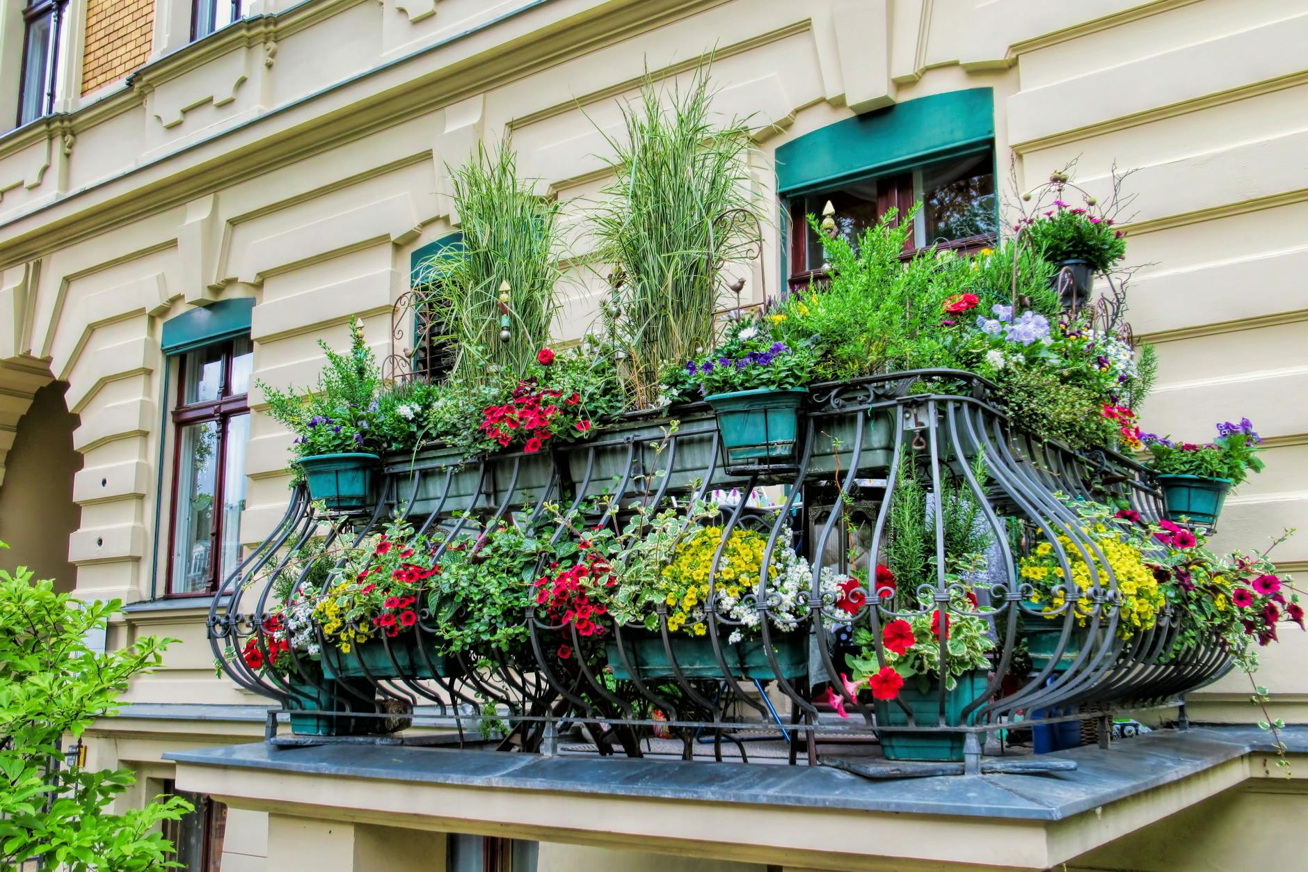 Herrlich bepflanzter Balkon in Berlin. Da beginnt der Urlaub zu Hause.