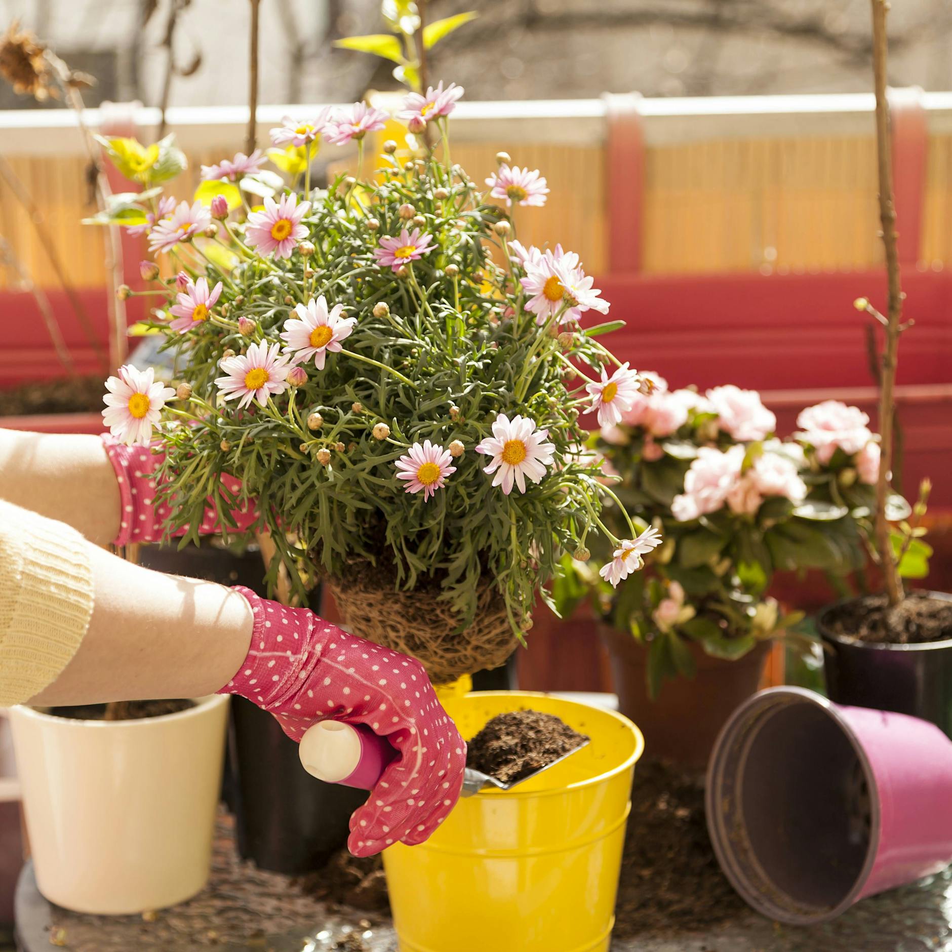 So machen Sie Balkon und Terrasse frühlingsfit: Die Outdoor-Trends 2026