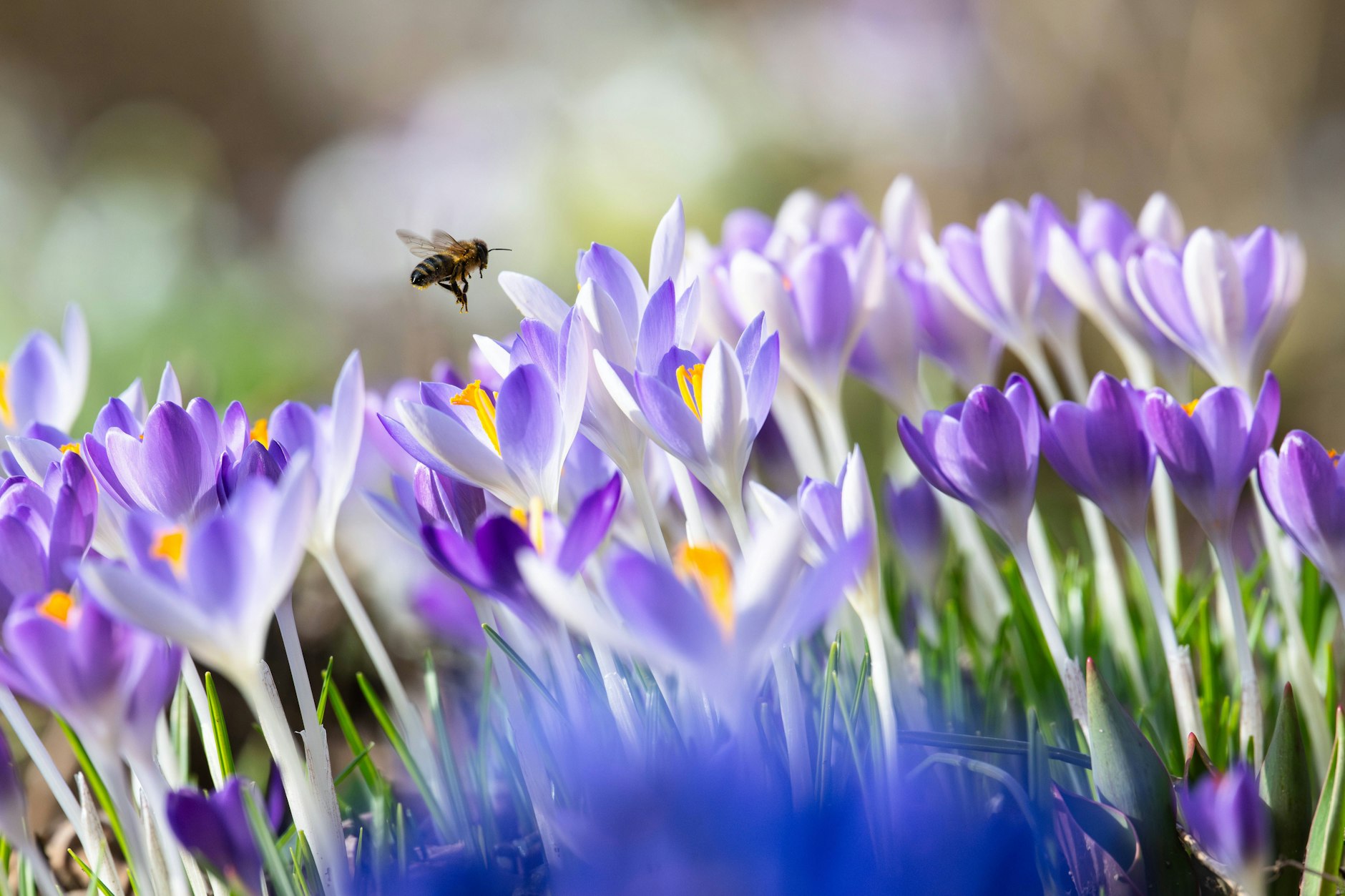 Aktuell zeigt sich der Frühling von seiner schönsten Seite. Doch beim Wetter ist (leider) nichts in Stein gemeißelt.