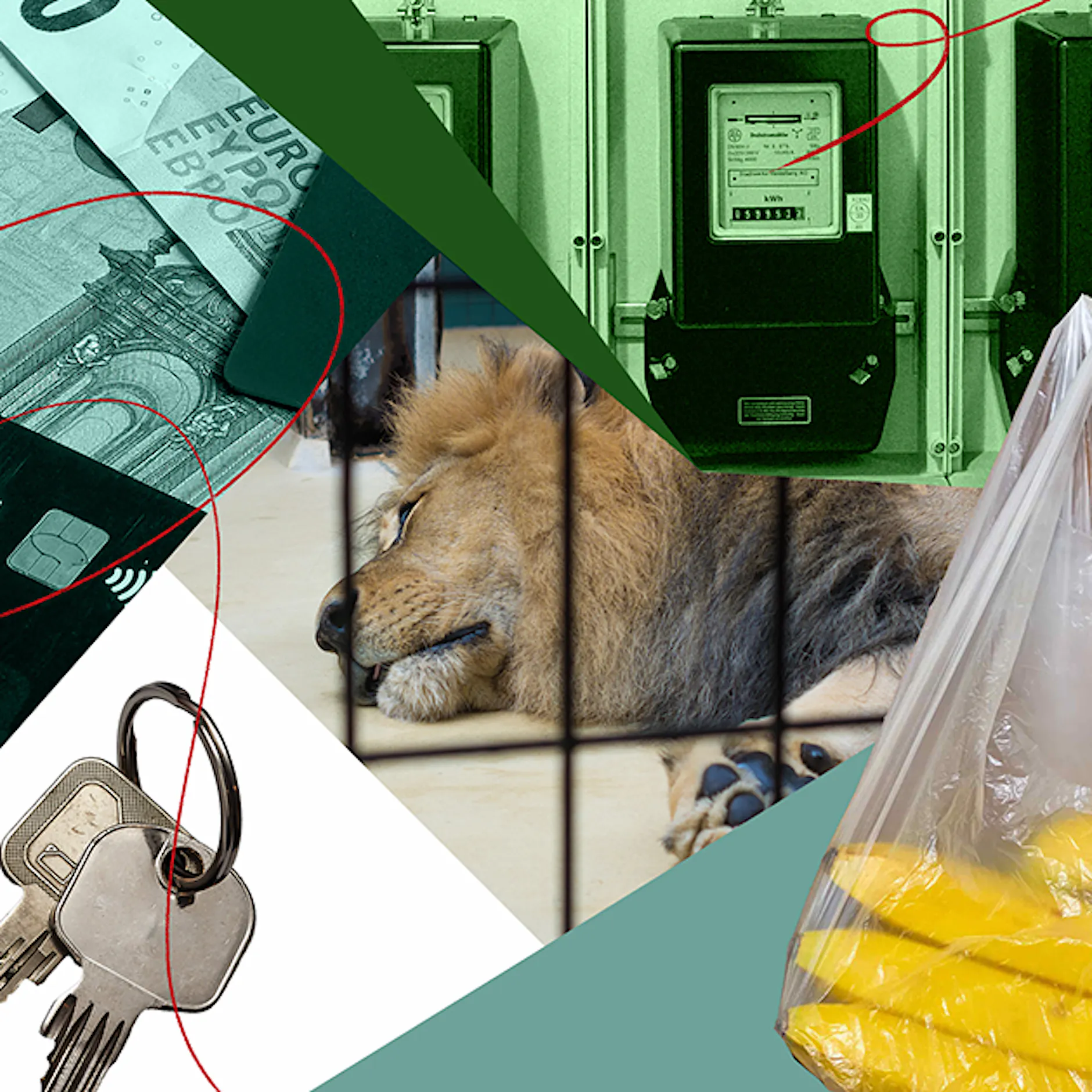 Berliner sparen beim Wocheneinkauf: „Maximal 150 Euro. Mehr gebe ich nicht aus.“