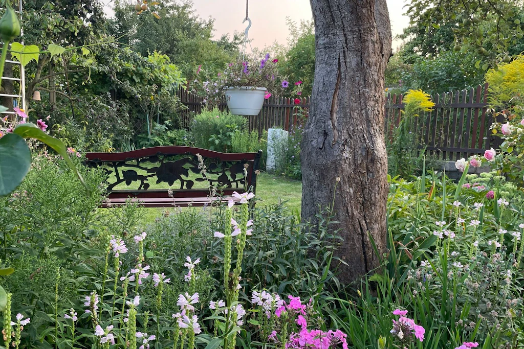 Endlich Klarheit: Berliner Kleingärtner bekommen langfristige Sicherheit