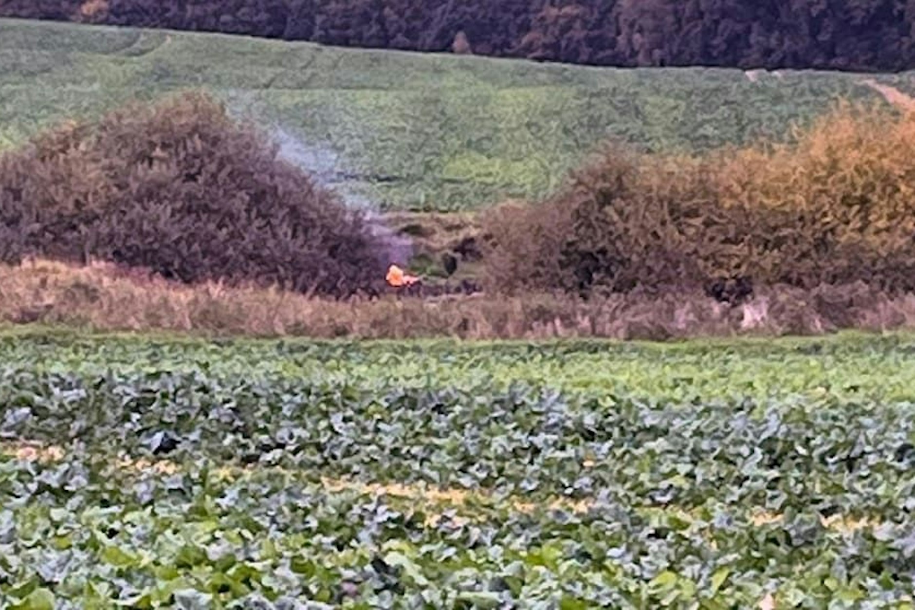 Das Foto, das bei „Aktenzeichen XY ... ungelöst“ erstmals gezeigt wurde, zeigt ein Feuer am Rand des Tümpels, an dem Fabians Leiche verbrannt wurde.