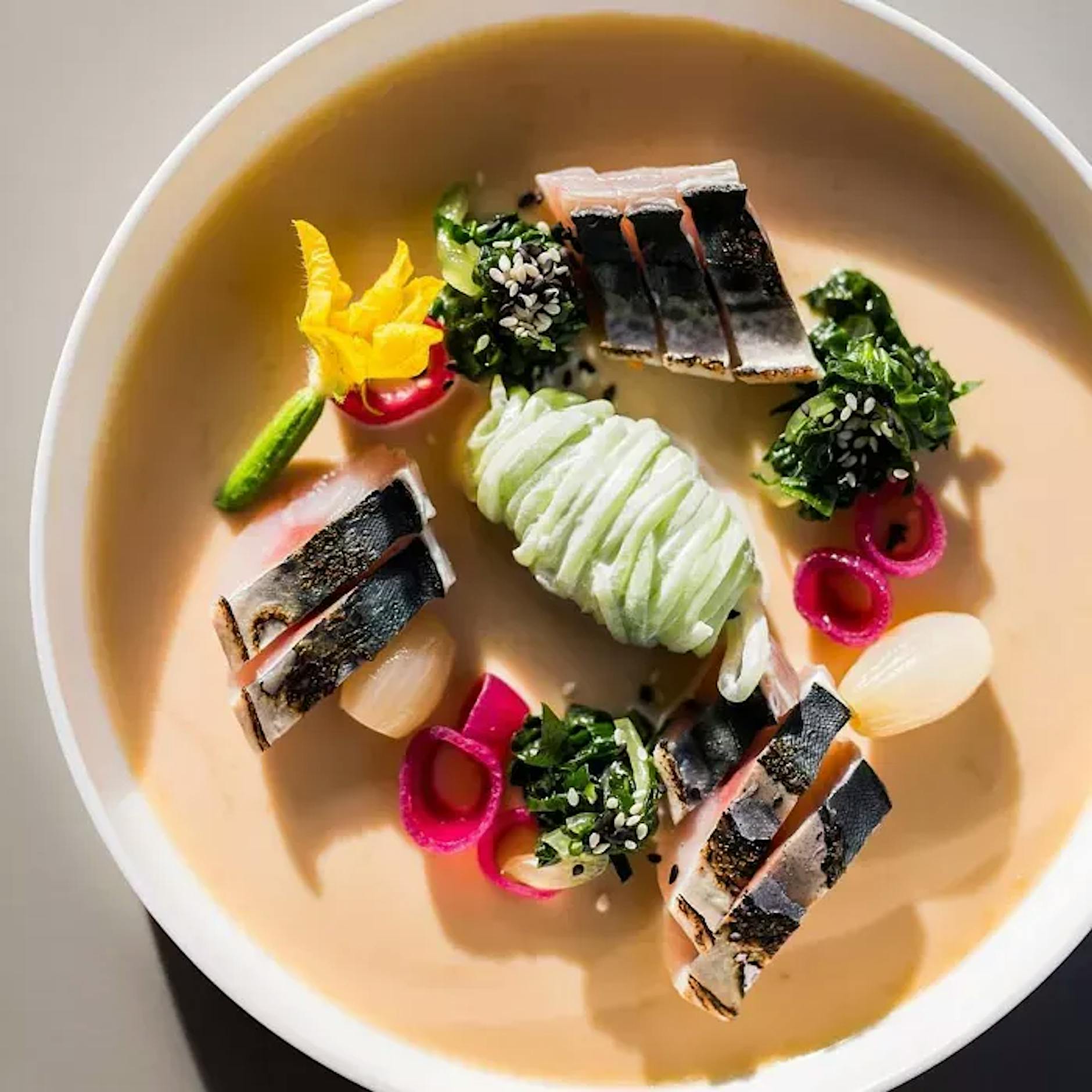 Kurztrip nach Dresden? Das sind die 8 besten Restaurants der Sachsen-Metropole