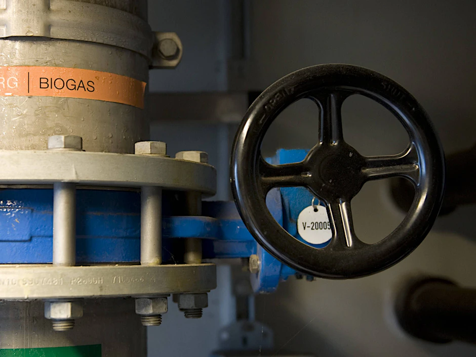 Auch in Demmin soll nun eine Biogas-Anlage entstehen.