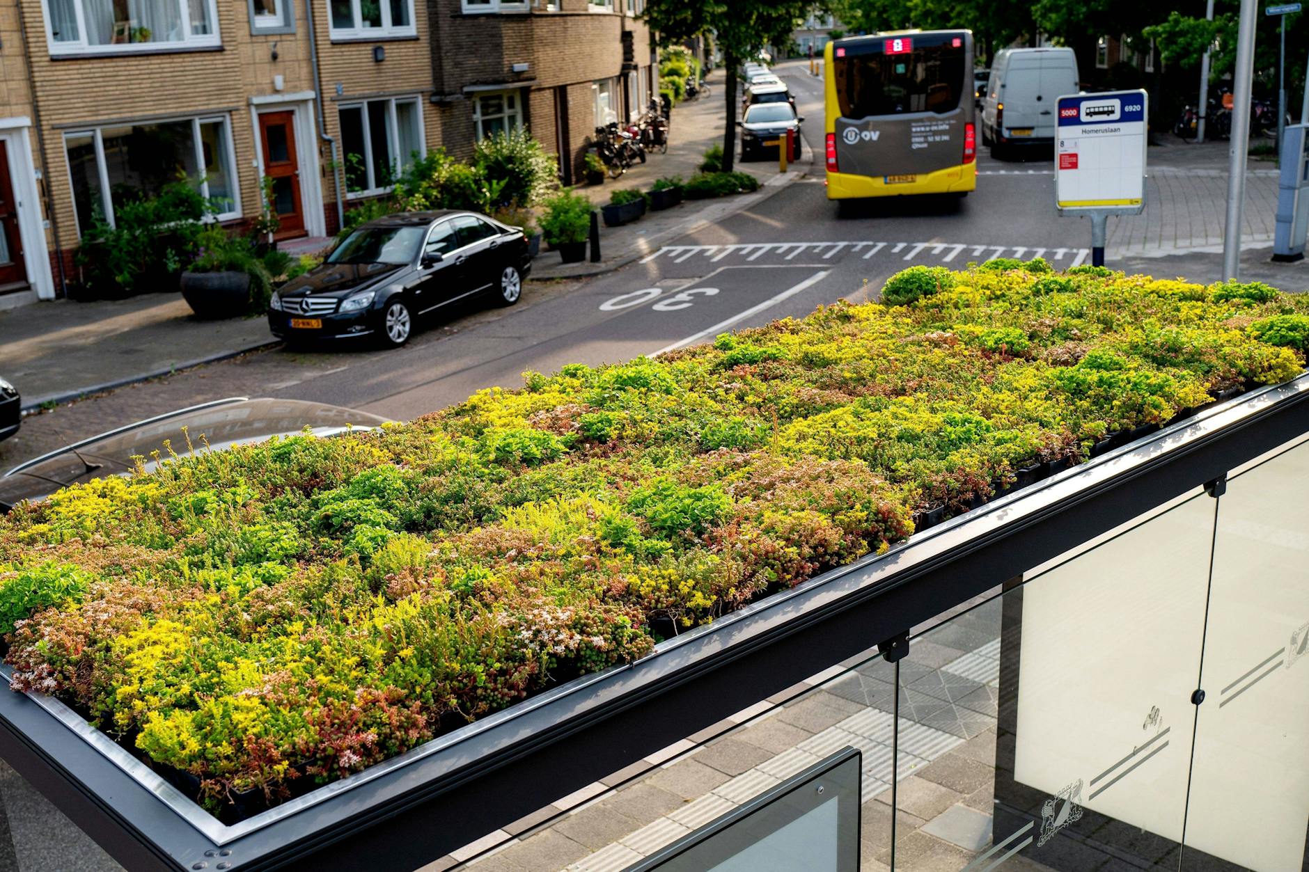 Utrecht, Dächer von Bushaltestellen sollen Raum für Bienen, Hummeln und andere Insekten schaffen.