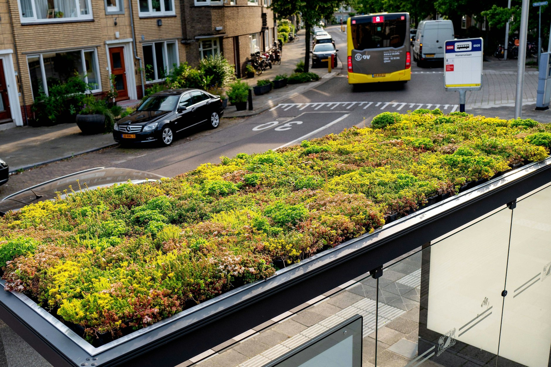 Utrecht, Dächer von Bushaltestellen sollen Raum für Bienen, Hummeln und andere Insekten schaffen.