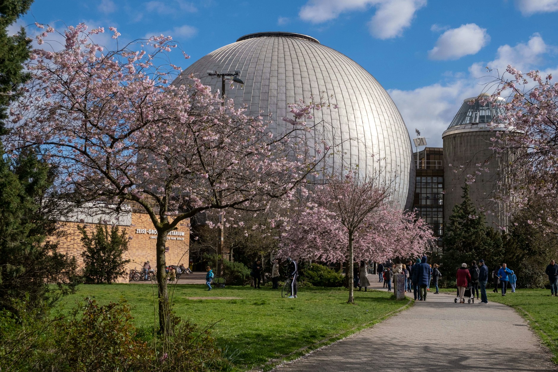 480 Mitarbeiter bräuchten die Straßen- und Grünflächenämter Berlins eigentlich für die Pflanzung so vieler neuer Bäume.