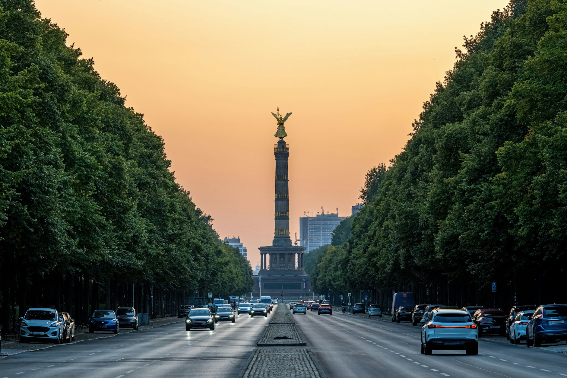 In Berlin sollen Hunderttausende Bäume gepflanzt werden. Braucht es dafür ein Baumamt? Diese Frage beschäftigt gerade die Hauptstadt.