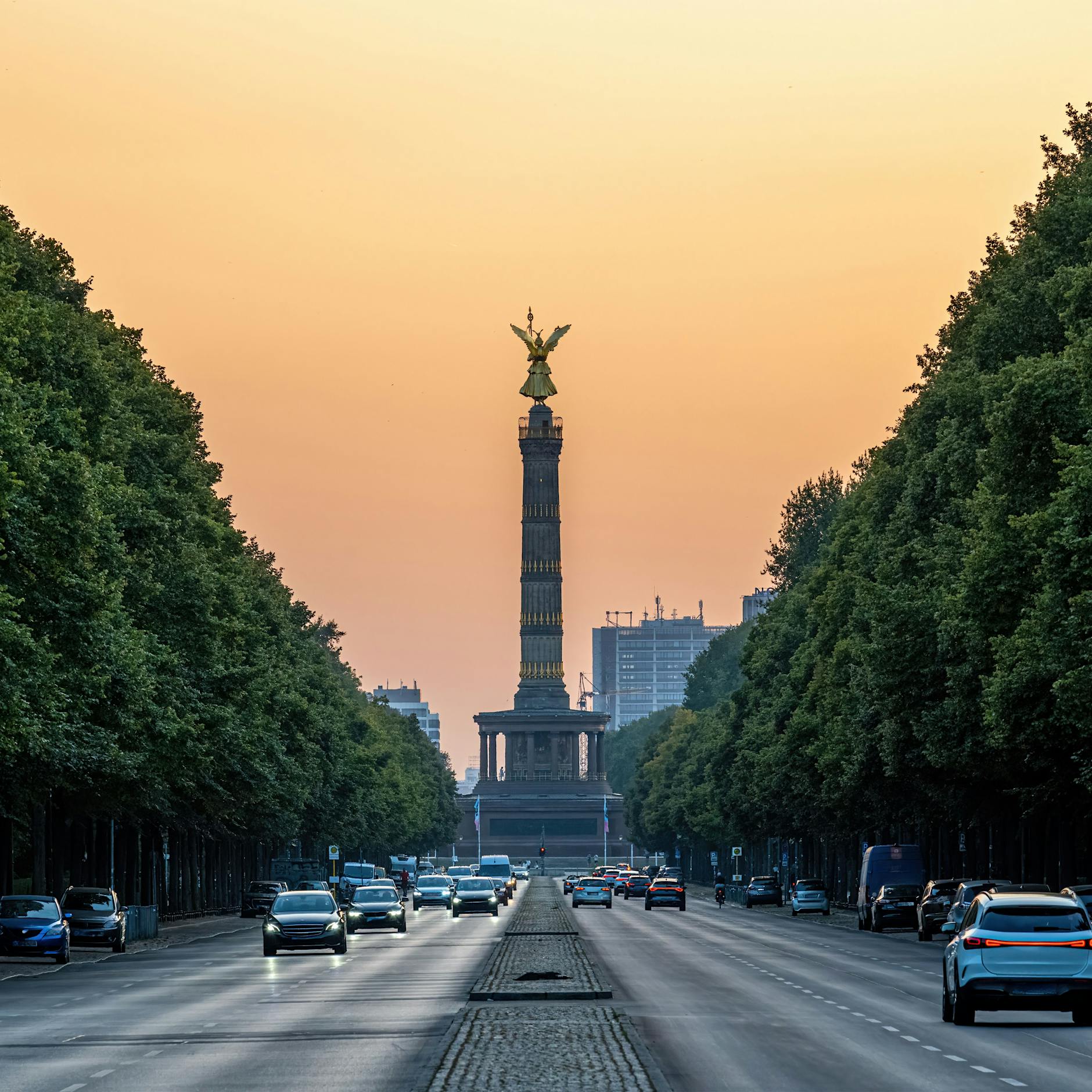 Berlin plant Baumamt – doch woher die 480 Mitarbeiter nehmen?