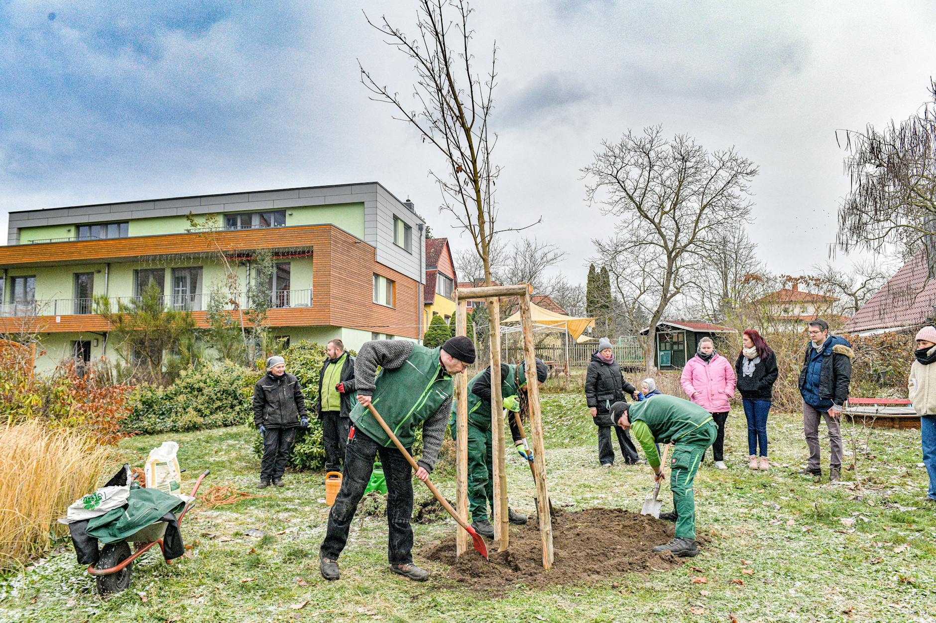 (Symbolfoto) In Sachen neugepflanzte Bäume liegt Tempelhof-Schöneberg vorn.