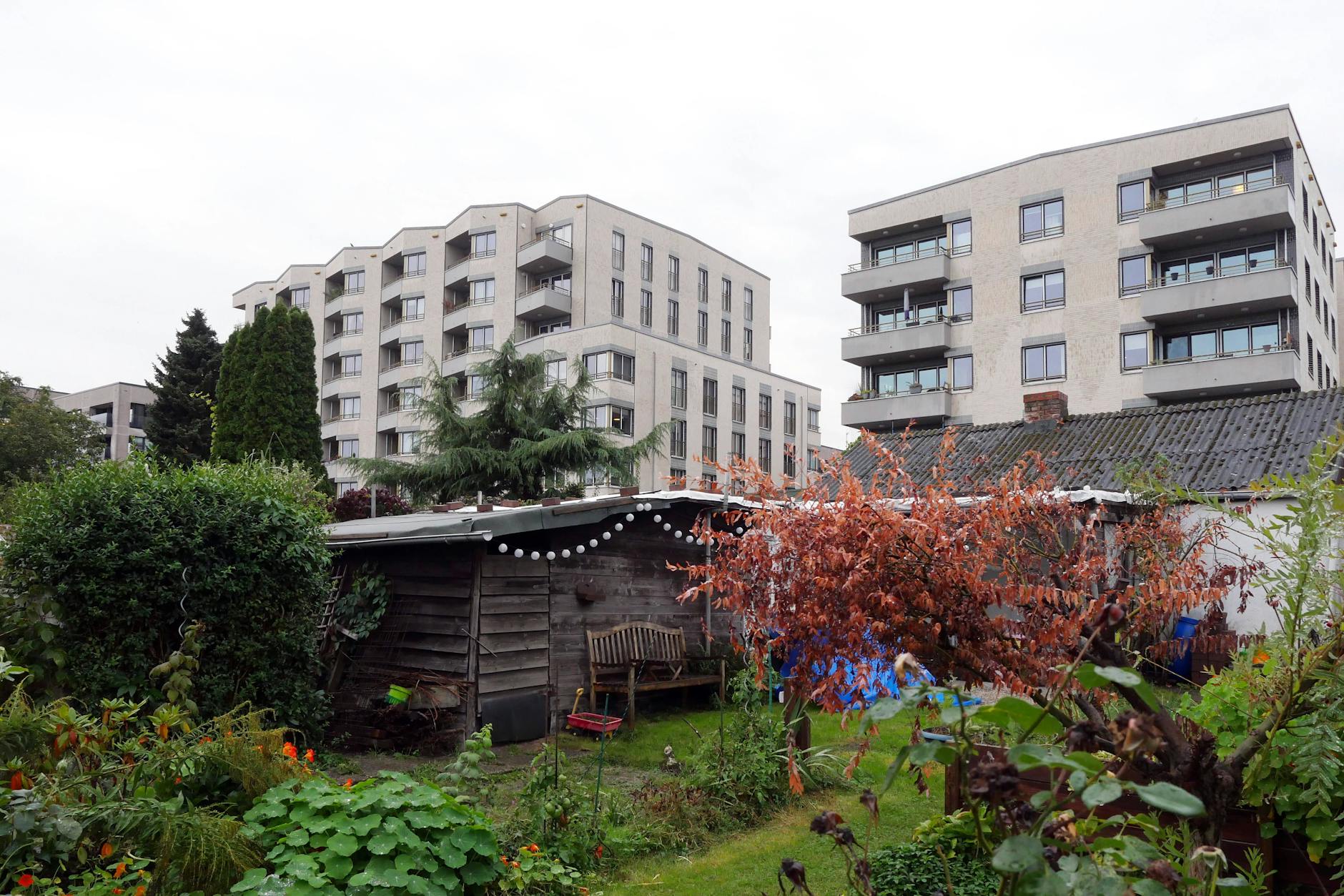 Kleingärten bieten Grün inmitten der Berliner Betonwüste.