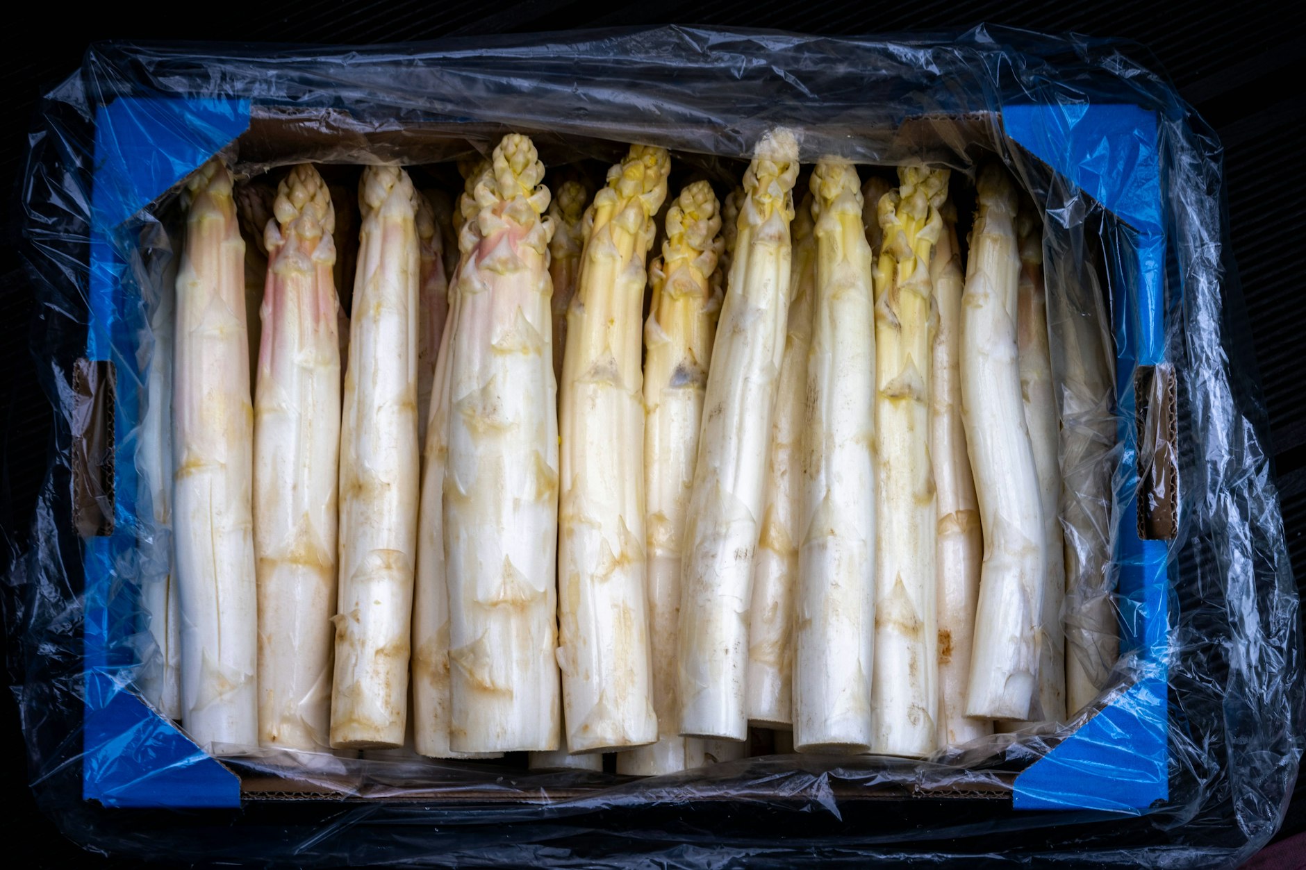 Spargelstangen sind vor allem in der Osterzeit noch sehr teuer.