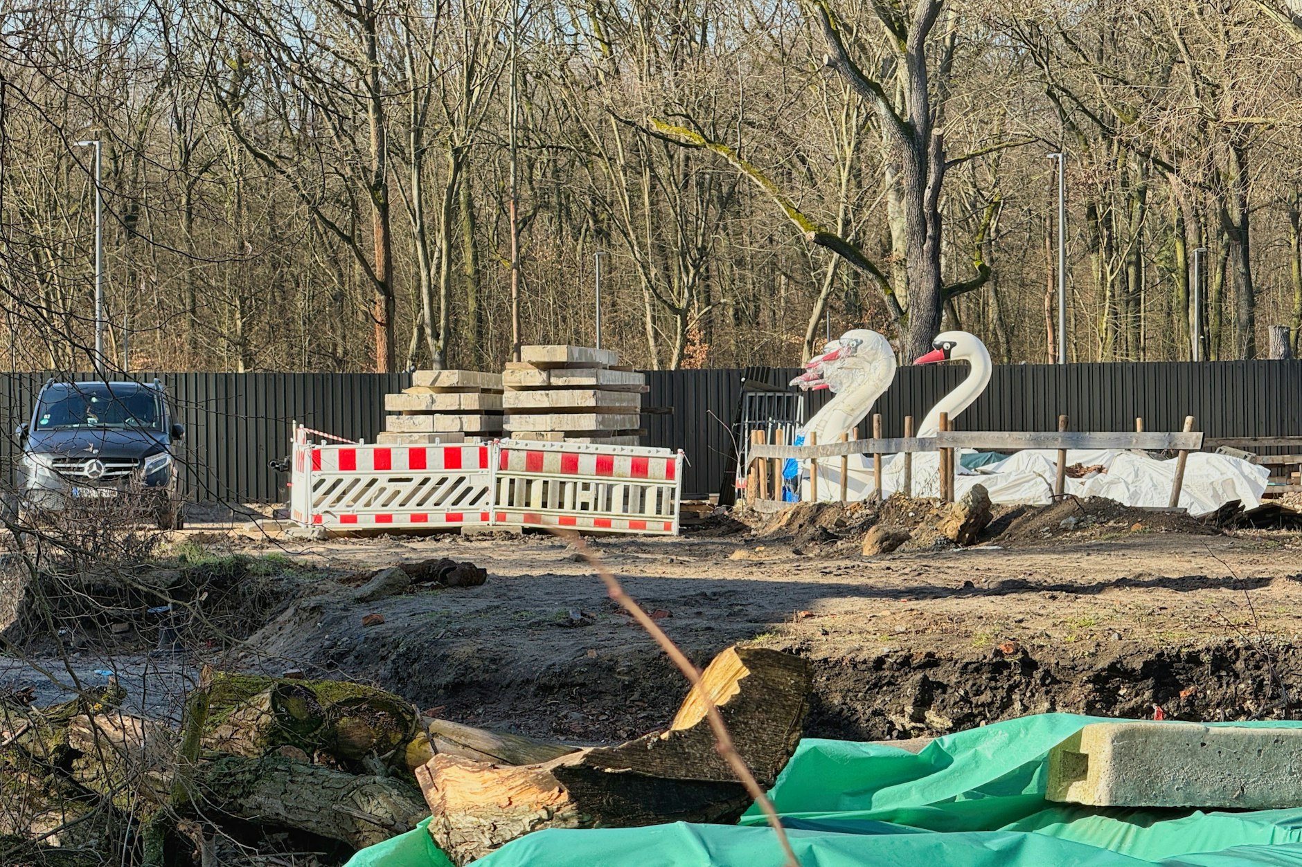 Relikte aus der Vergangenheit. Die großen schwimmenden Schwäne stehen auf einer Fläche im Park und warten auf ihre Bestimmung.