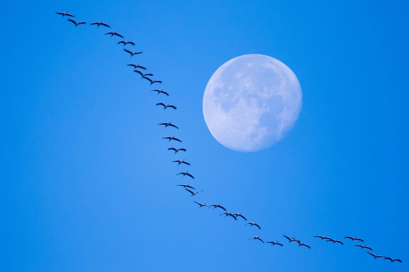 Vollmond am 3. März: Das Geheimnis des Wurmmonds enthüllt