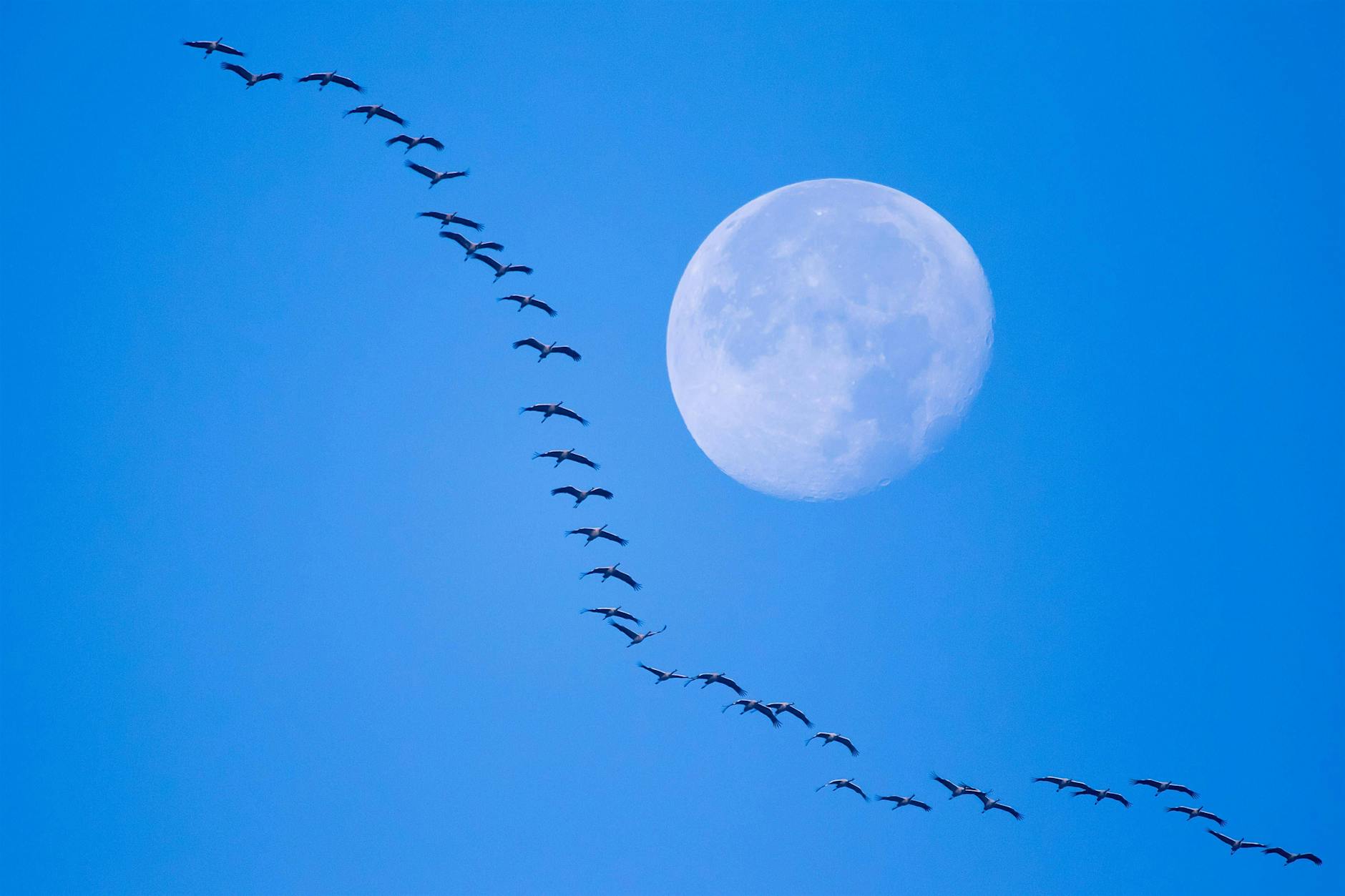 Vollmond am 3. März: Das Geheimnis des Wurmmonds enthüllt