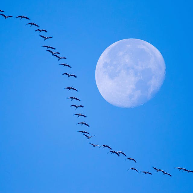 Vollmond am 3. März: Das Geheimnis des Wurmmonds enthüllt