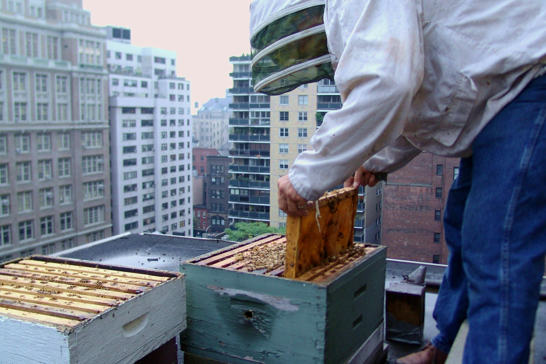 Ohne Erlaubnis der Miteigentümer dürfen Wohnungsbesitzer keine Bienen auf dem Balkon züchten.
