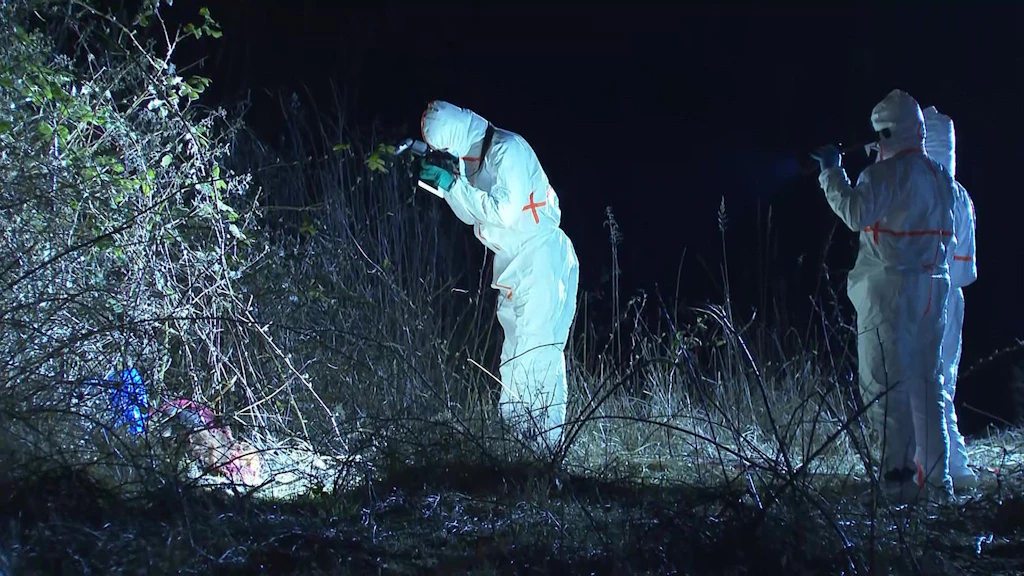 Grausamer Fund: Leichenteile in Rostocker Wald entdeckt