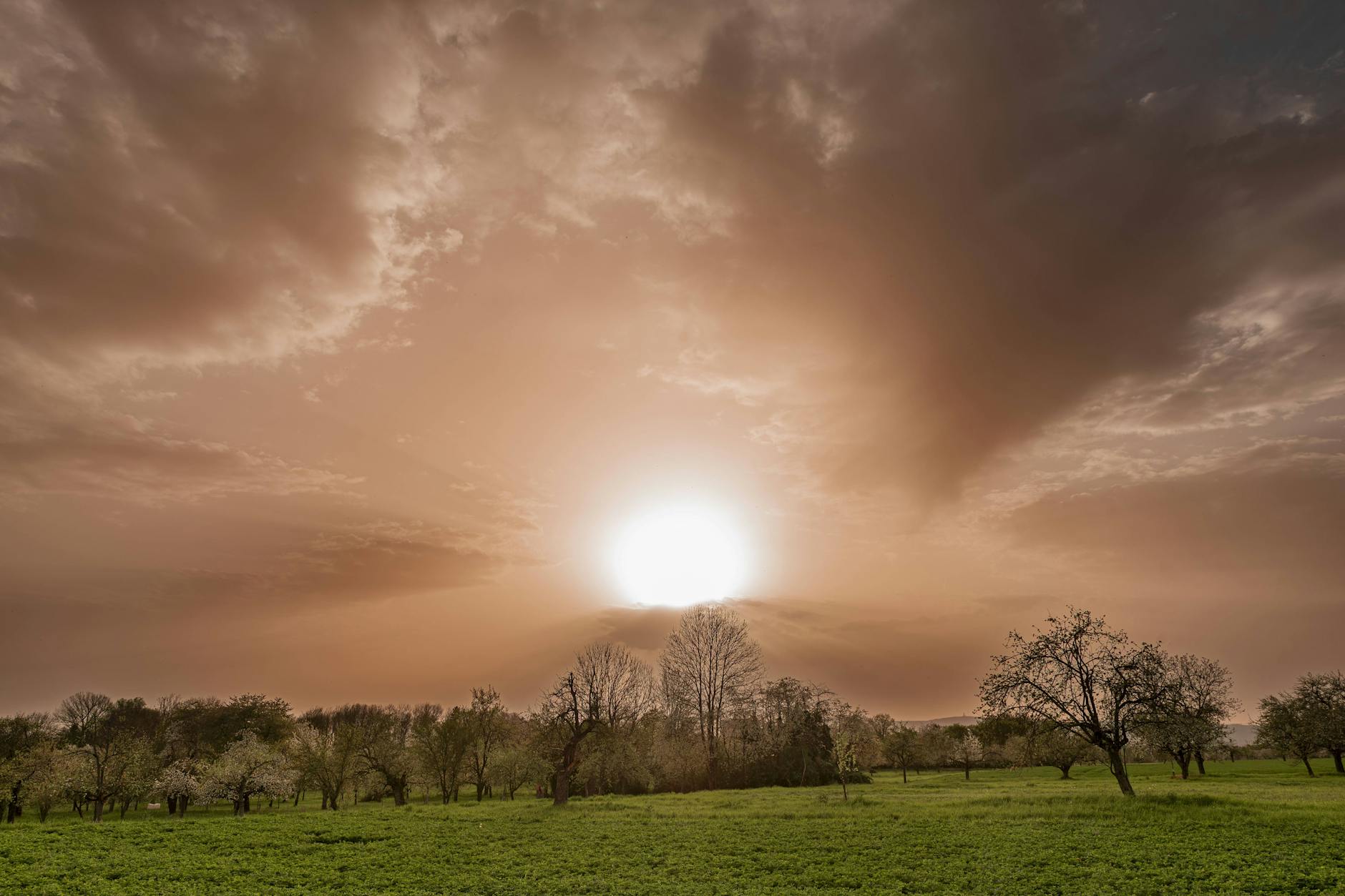 Immer wieder kommt es zu diesen Wetterphänomen über Deutschland. Saharastaub verfärbt den Himmel vor allen Dingen bei Sonnenaufgängen.