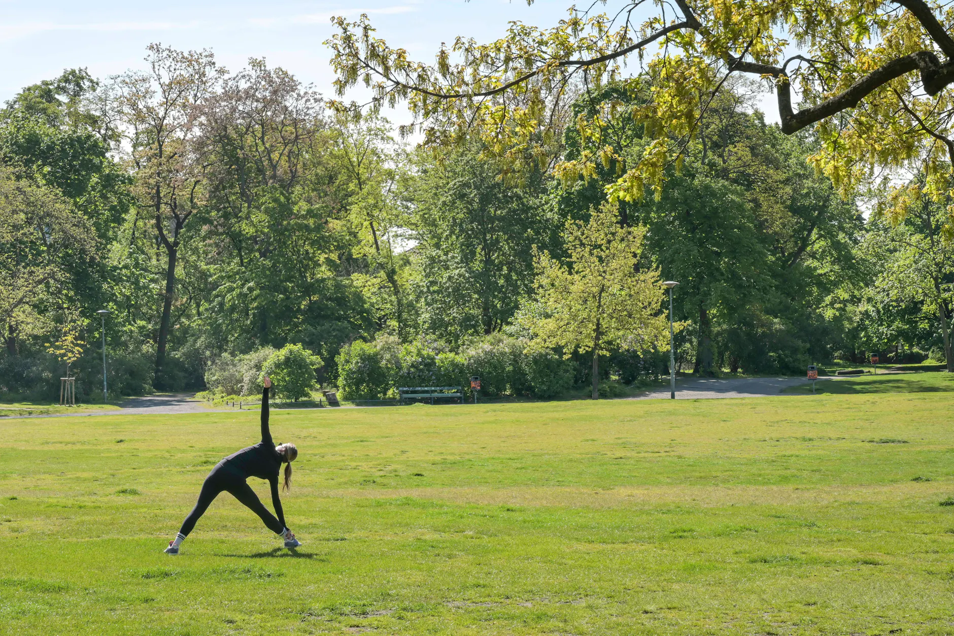 Sehr beruhigend, nicht nur für Sportler: schöner grüner Park in Wilmersdorf