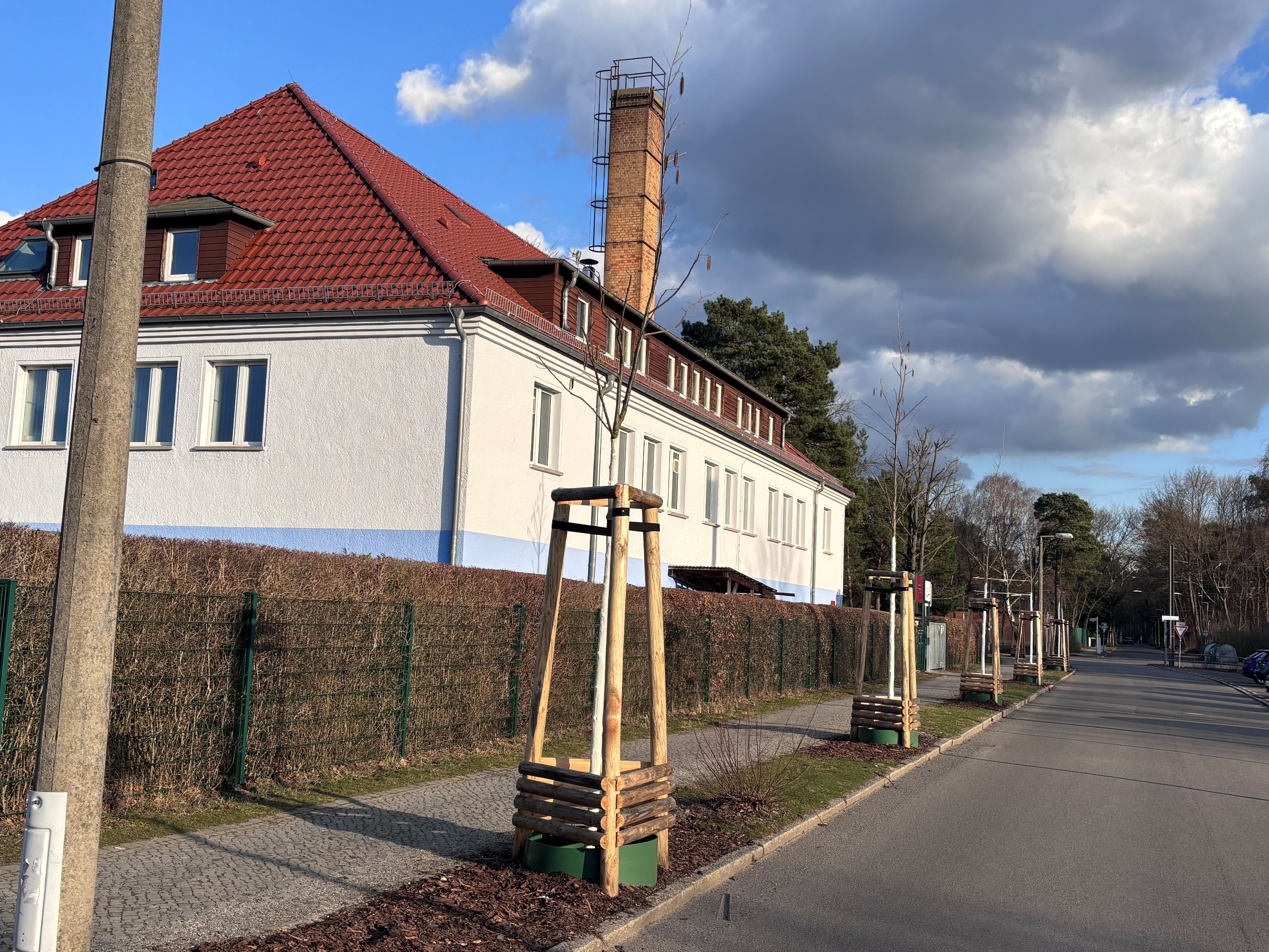 Sie haben Heuschnupfen? Dann meiden Sie Köpenick!