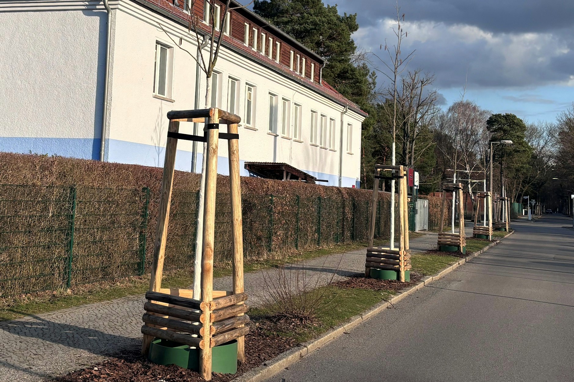 Treptow-Köpenick hat seit Herbst Hunderte neuer Bäume erhalten.