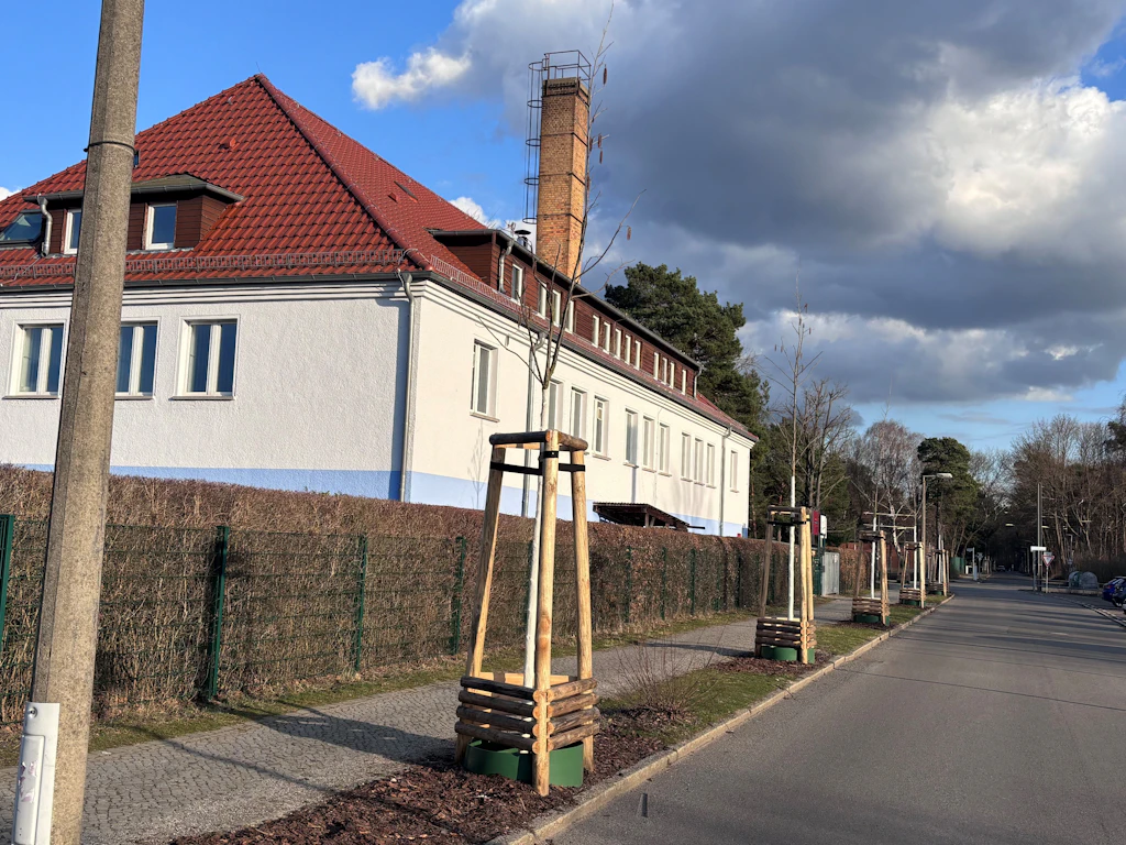 Sie haben Heuschnupfen? Dann meiden Sie Köpenick!