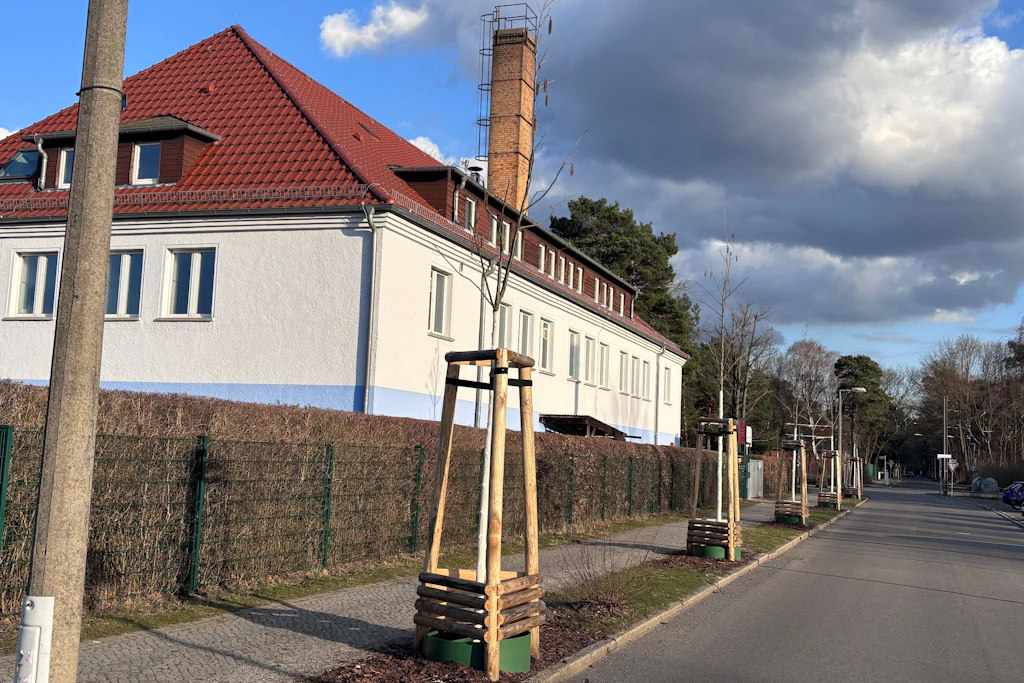 Sie haben Heuschnupfen? Dann meiden Sie Köpenick!