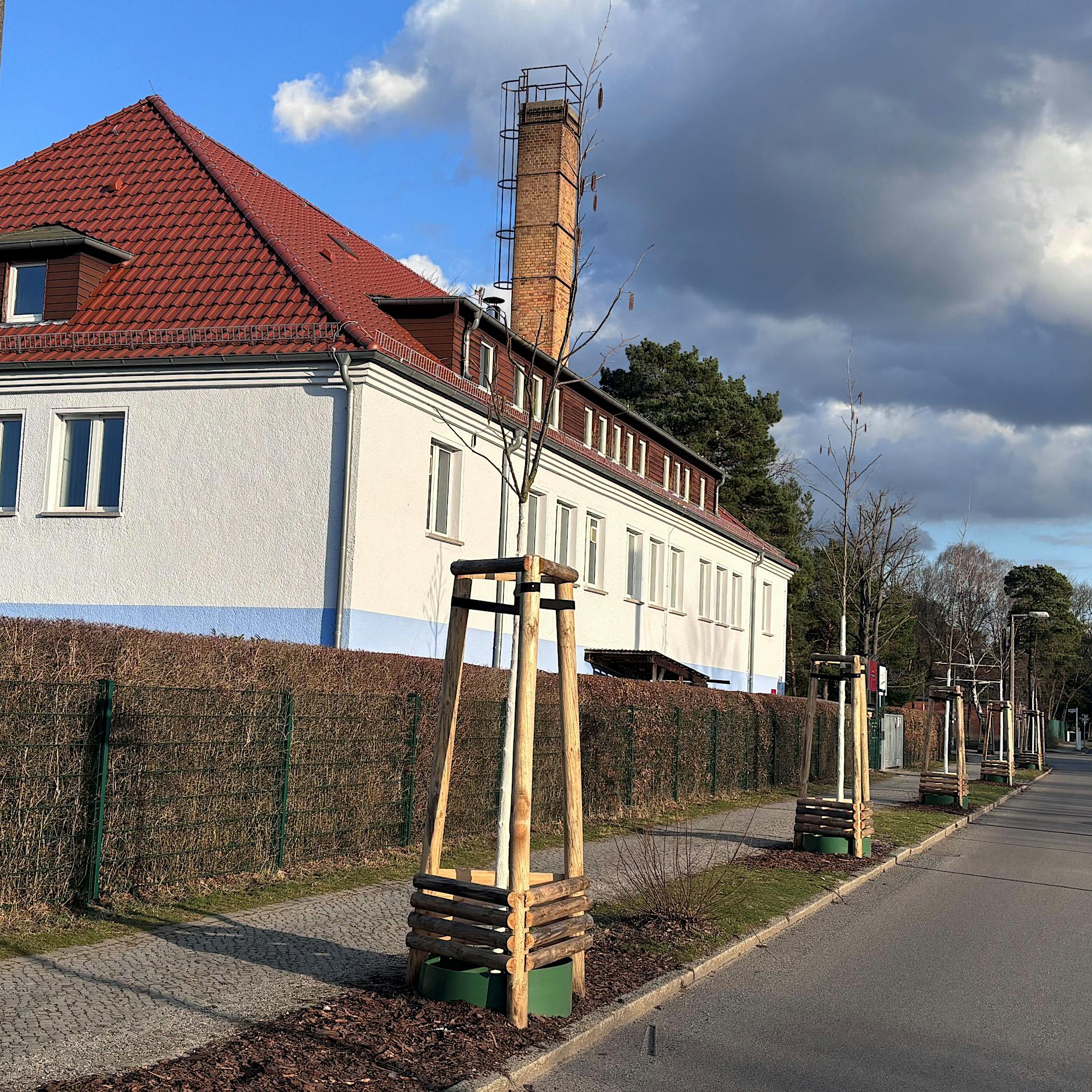 Sie haben Heuschnupfen? Dann meiden Sie Köpenick!